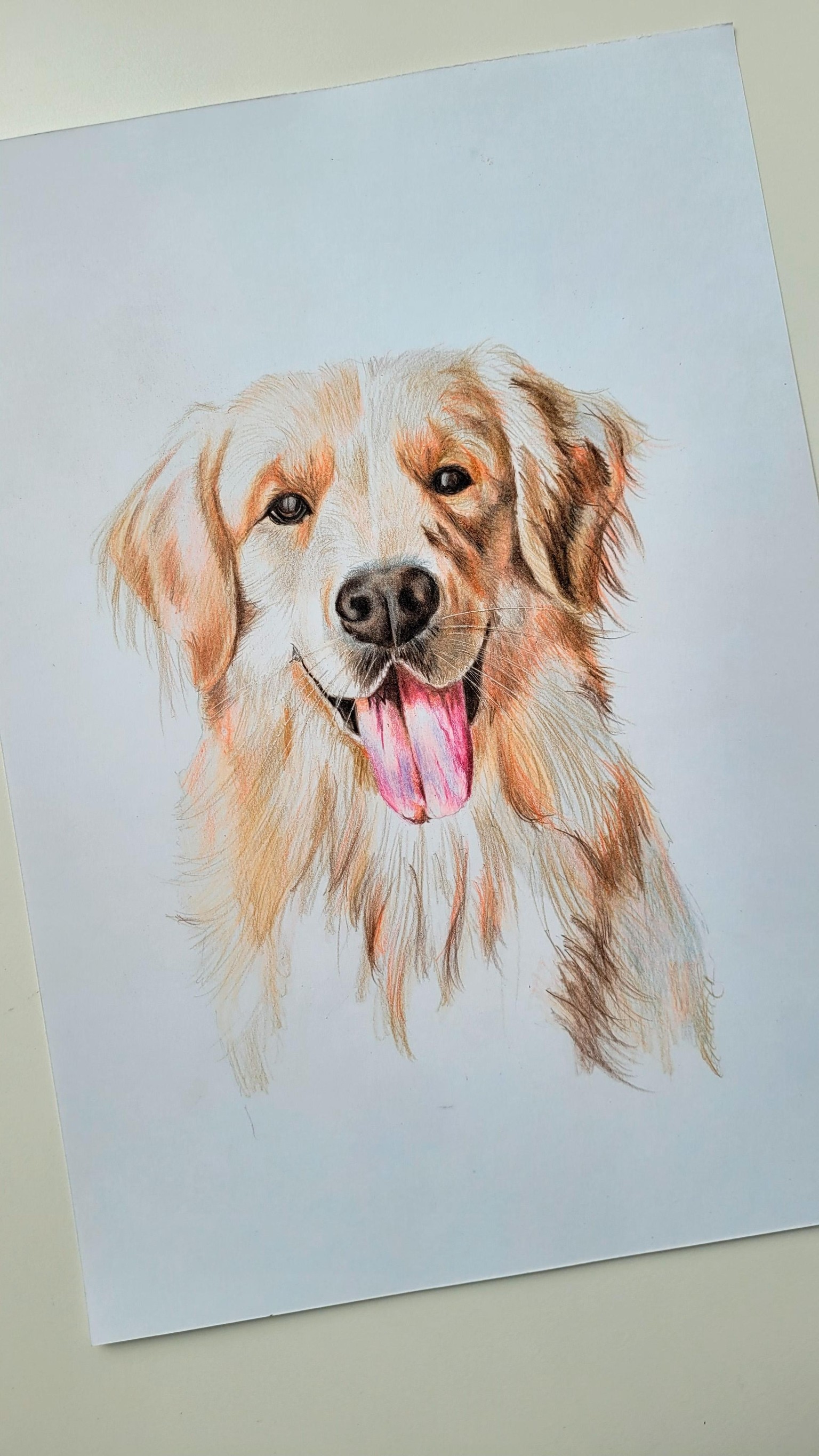 Labrador - image 3 - student project