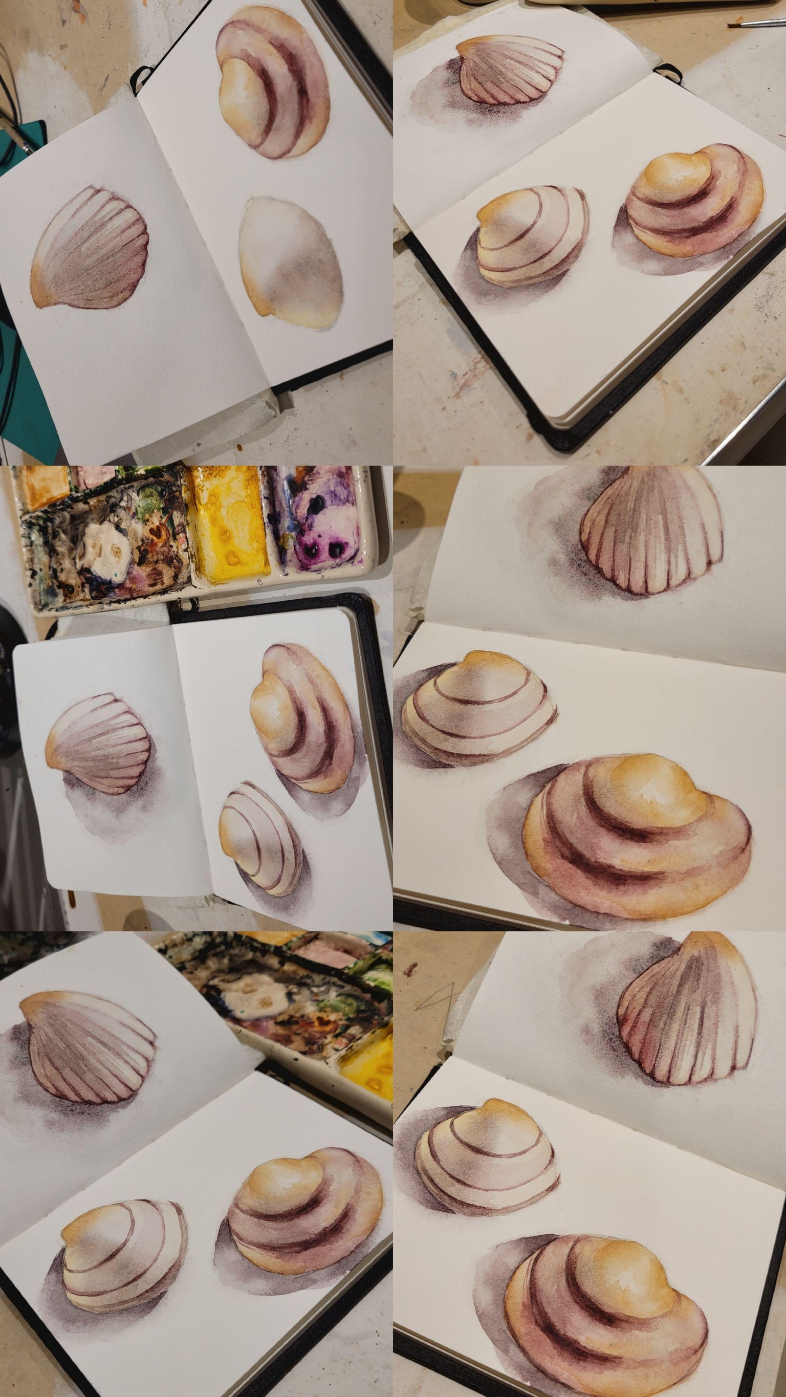 Caracolas - image 1 - student project
