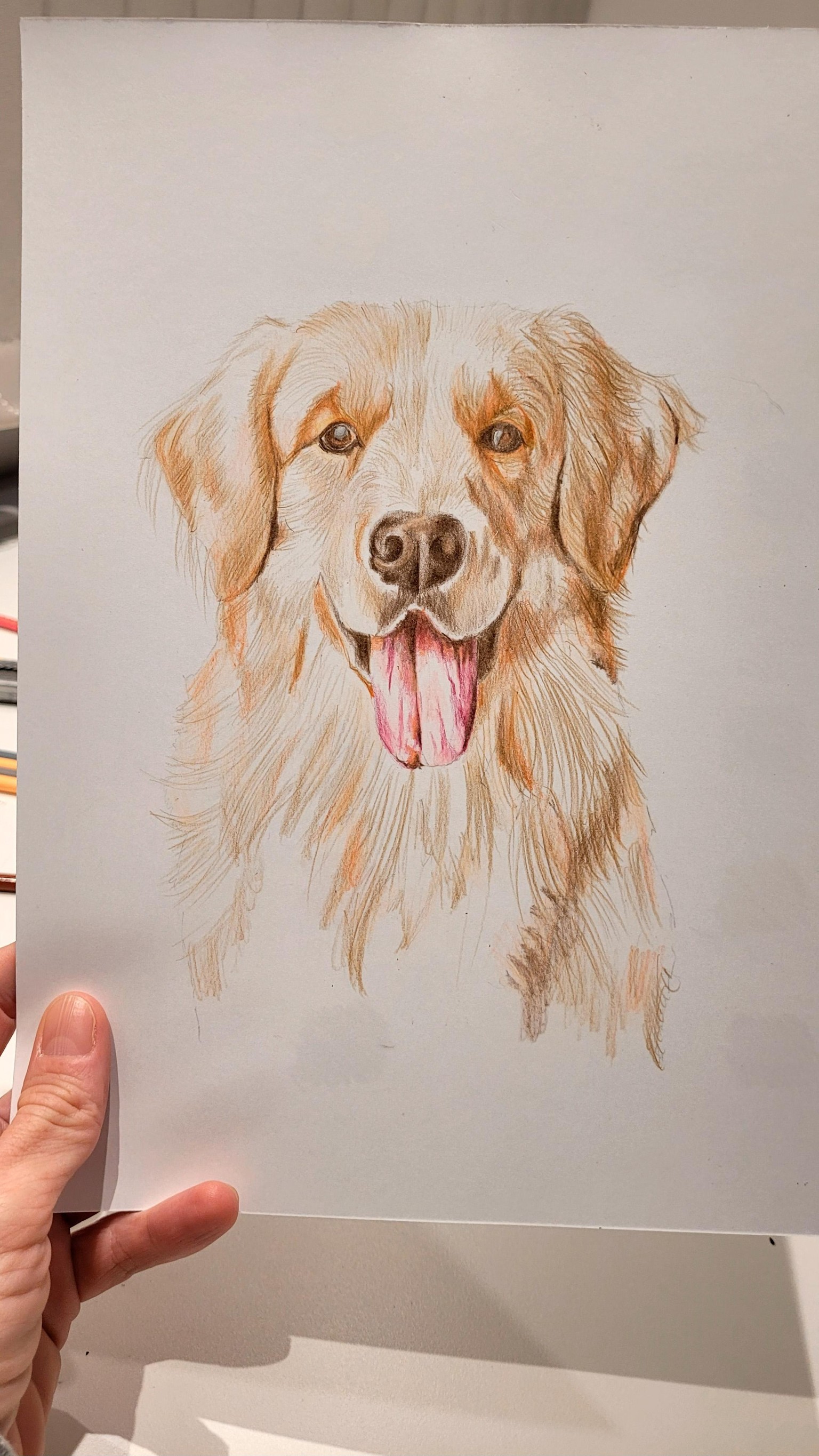 Labrador - image 4 - student project