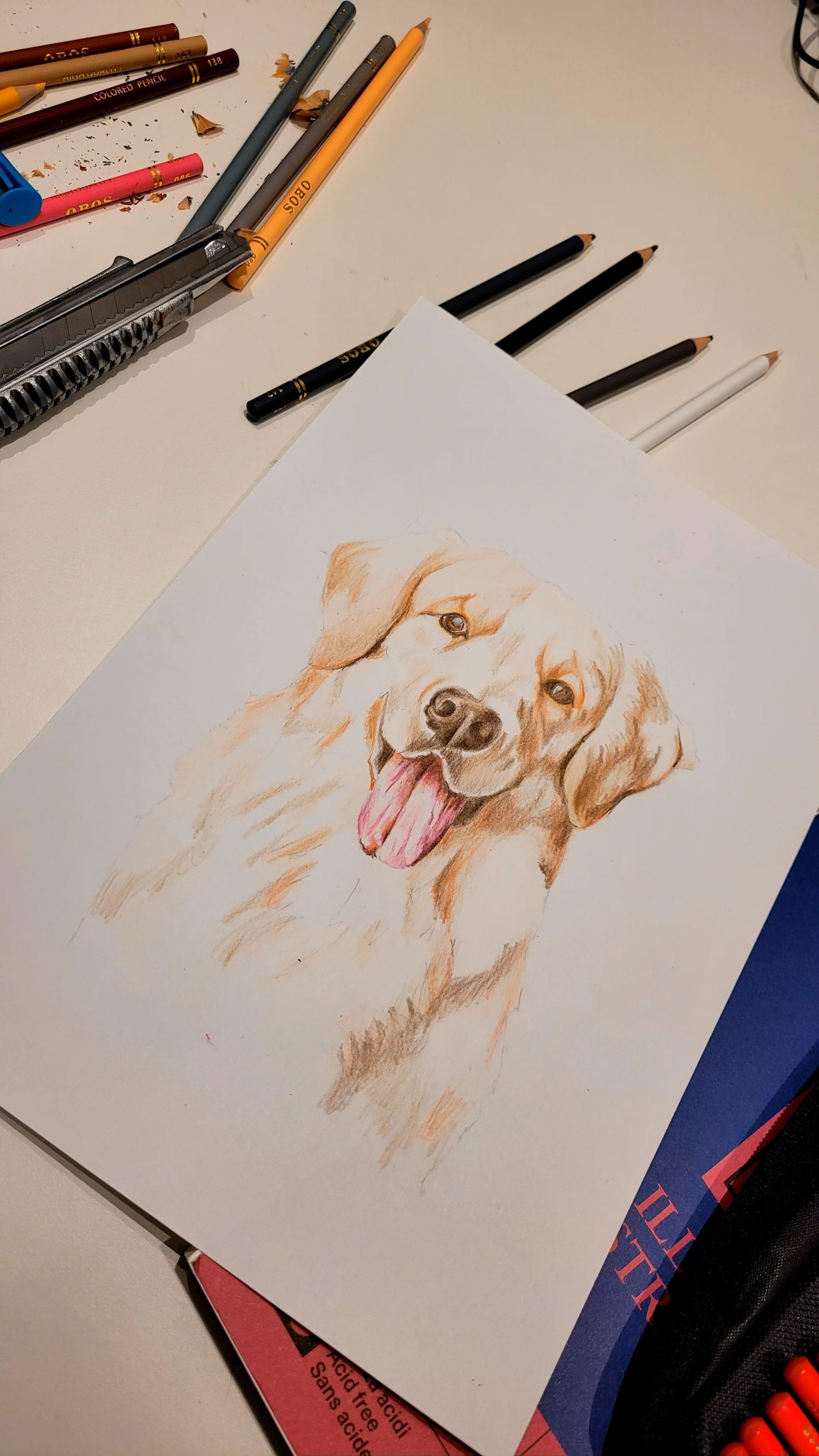 Labrador - image 5 - student project