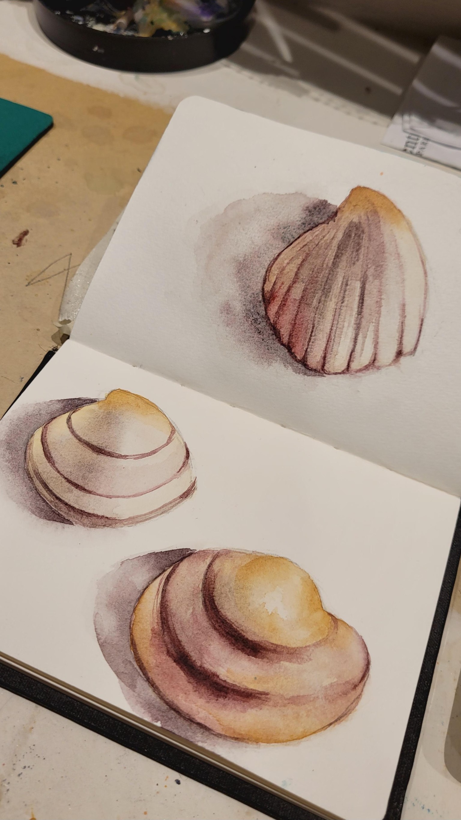 Caracolas - image 3 - student project