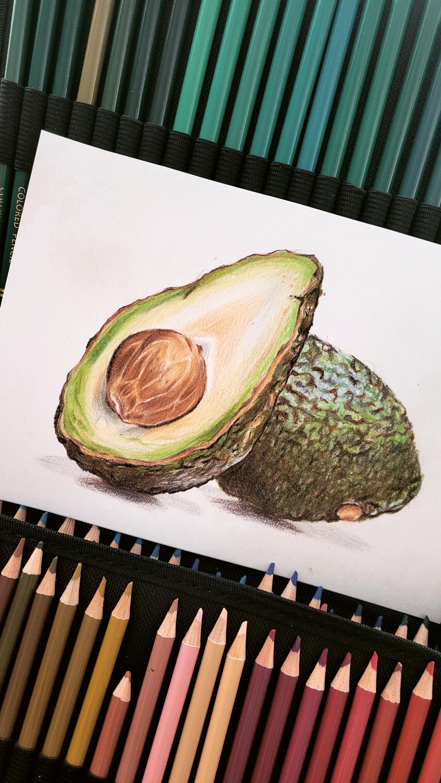 Palta - image 3 - student project