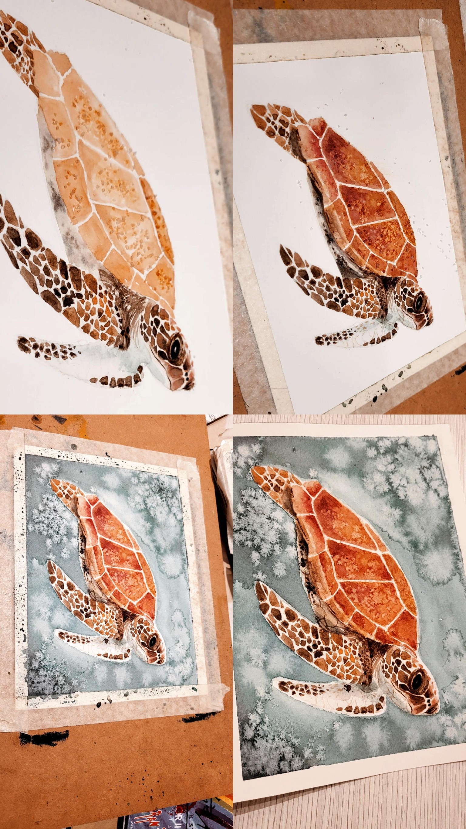 Tortuga de mar - image 1 - student project