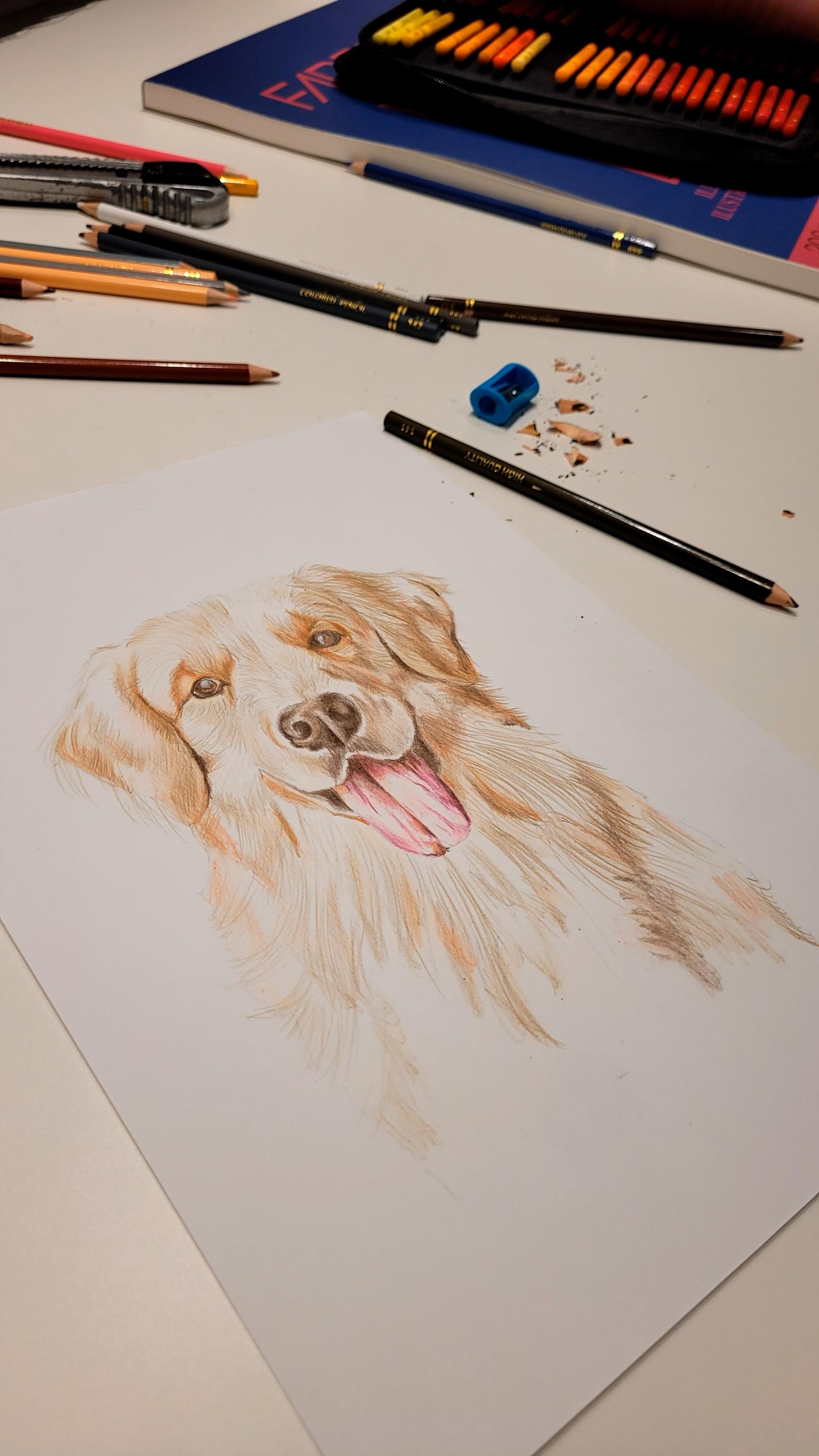 Labrador - image 6 - student project