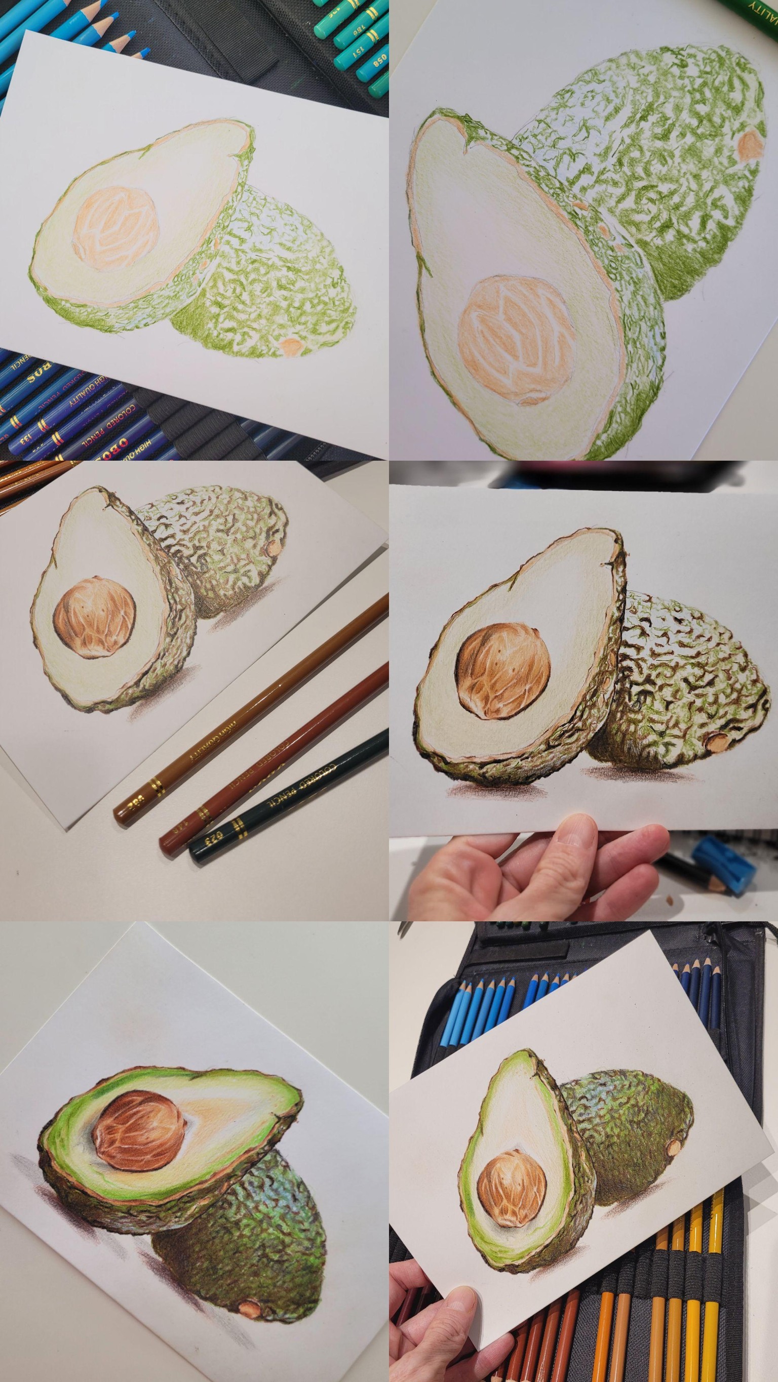 Palta - image 1 - student project