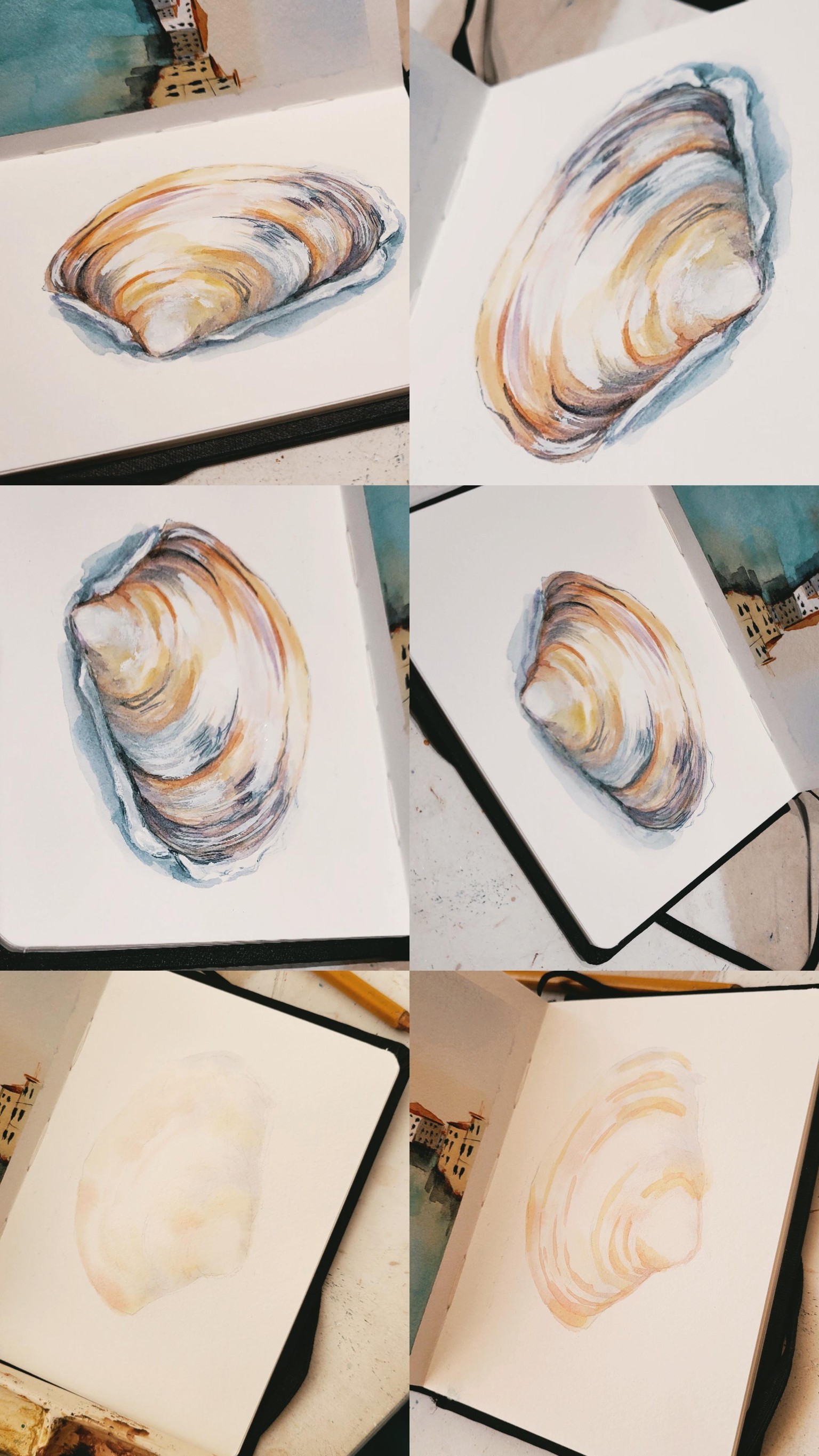 Caracola - image 1 - student project