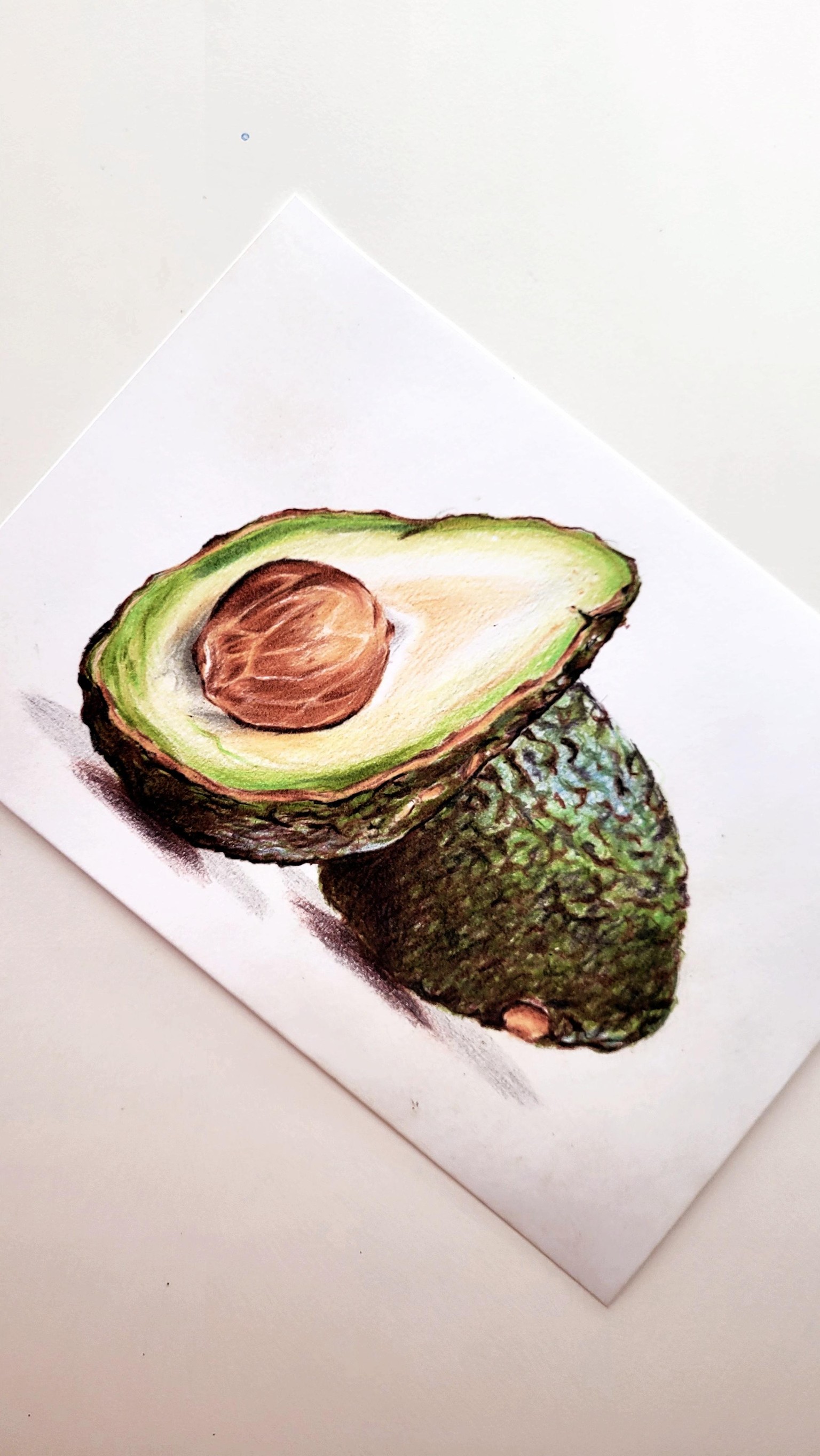 Palta - image 4 - student project