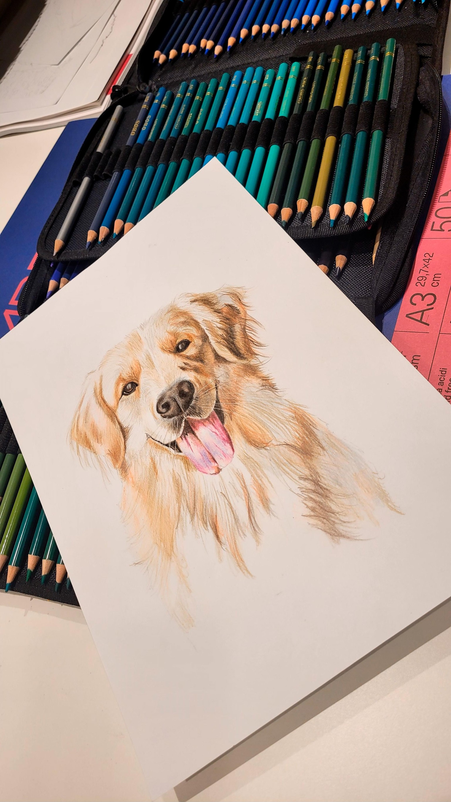 Labrador - image 2 - student project