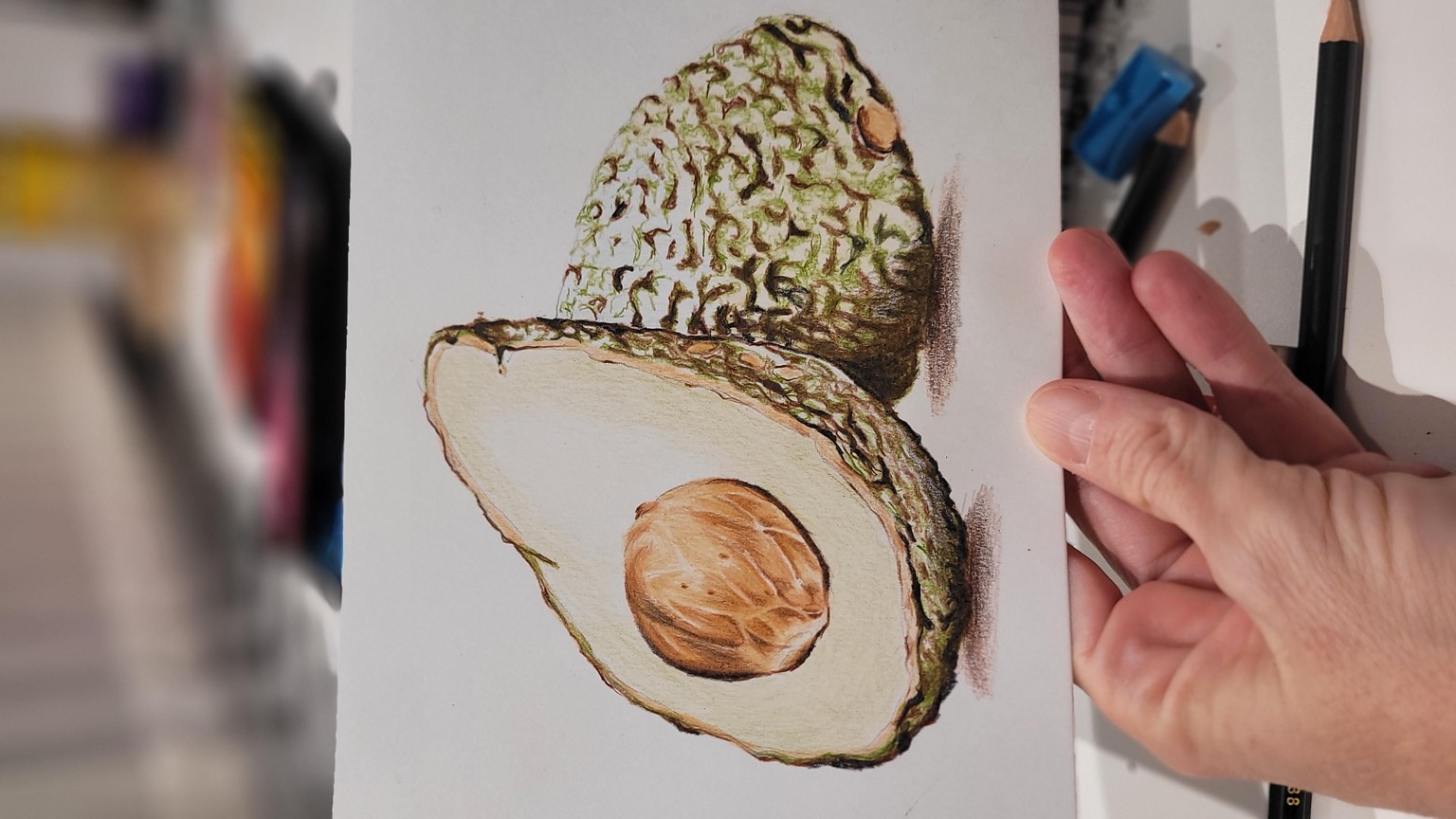 Palta - image 5 - student project
