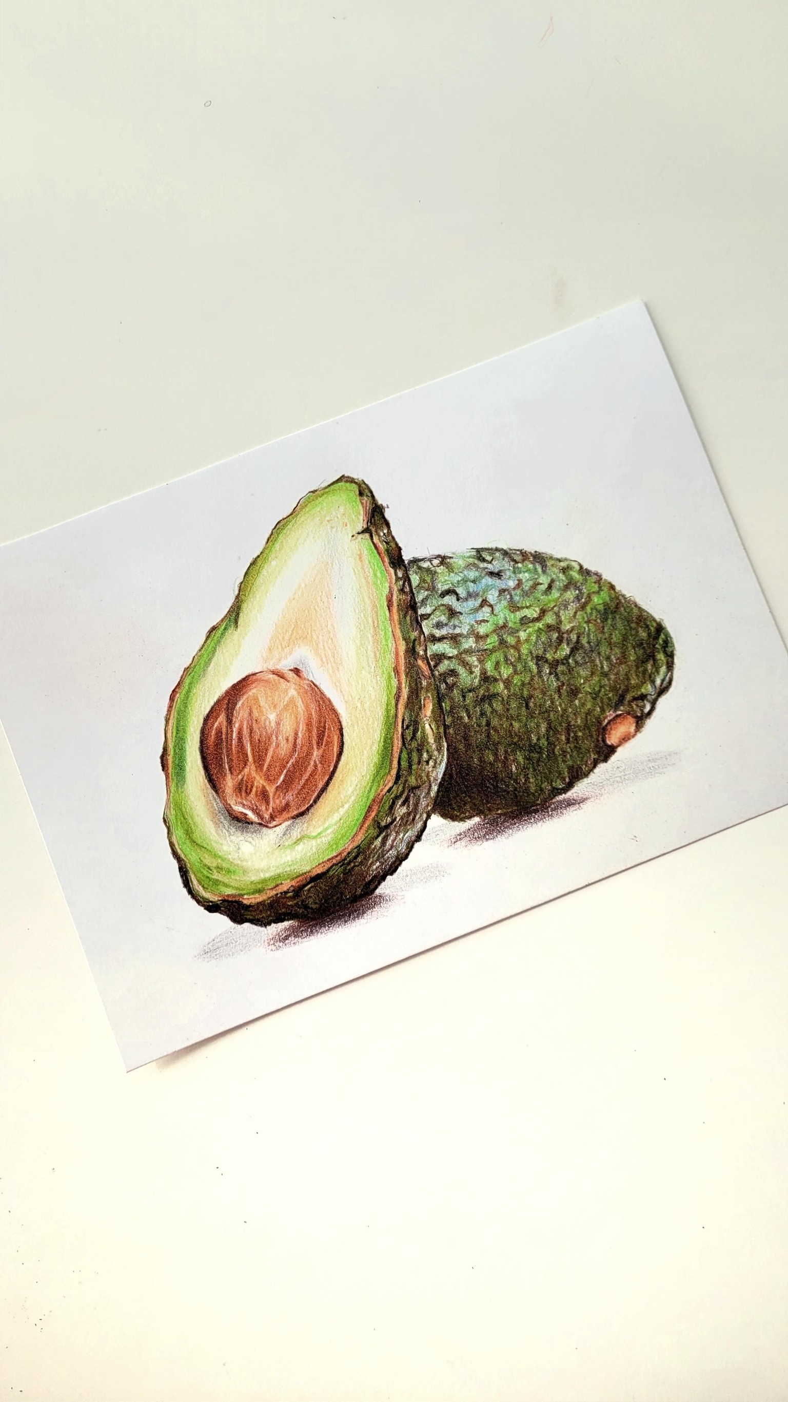 Palta - image 2 - student project