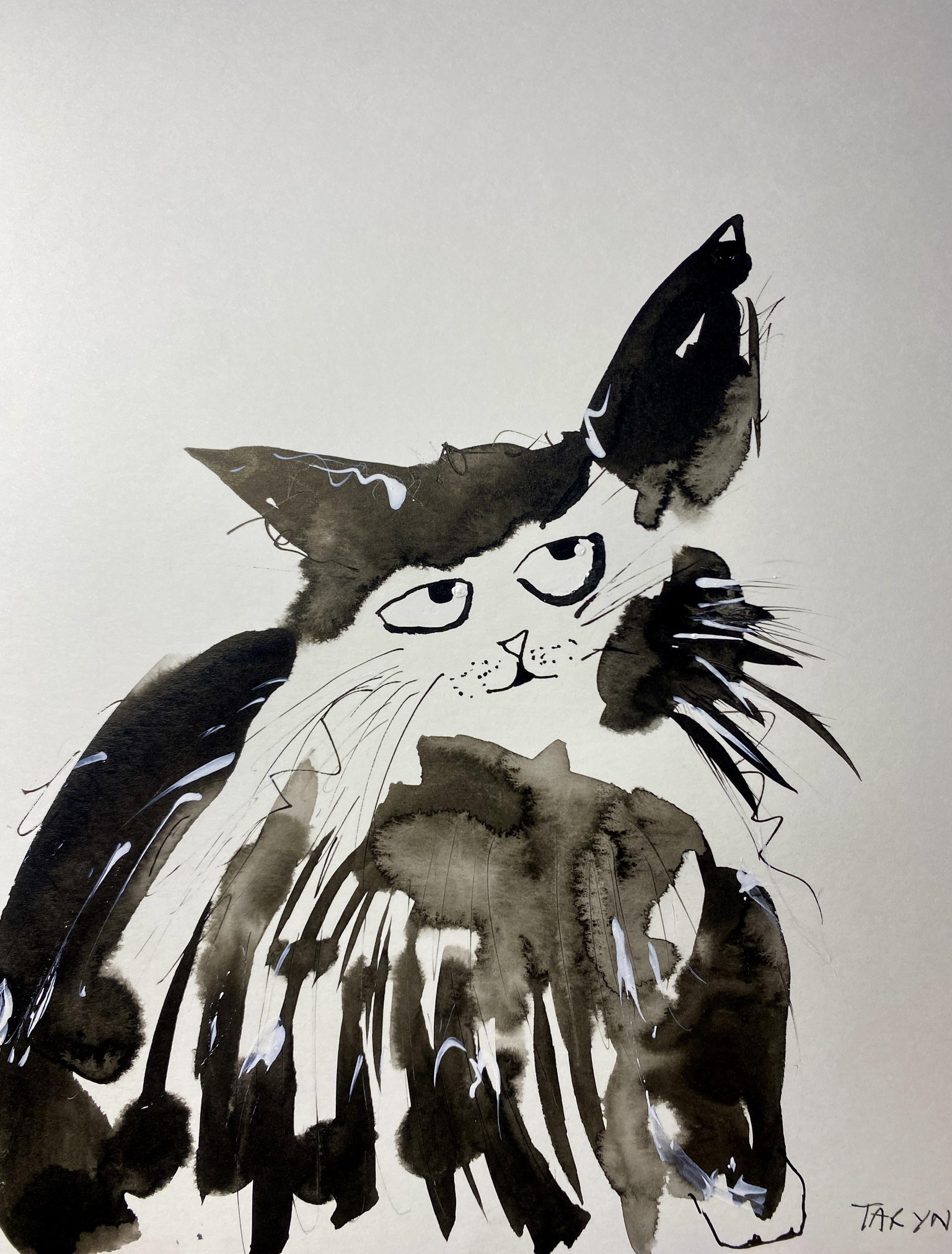 Grumpy cats - image 4 - student project