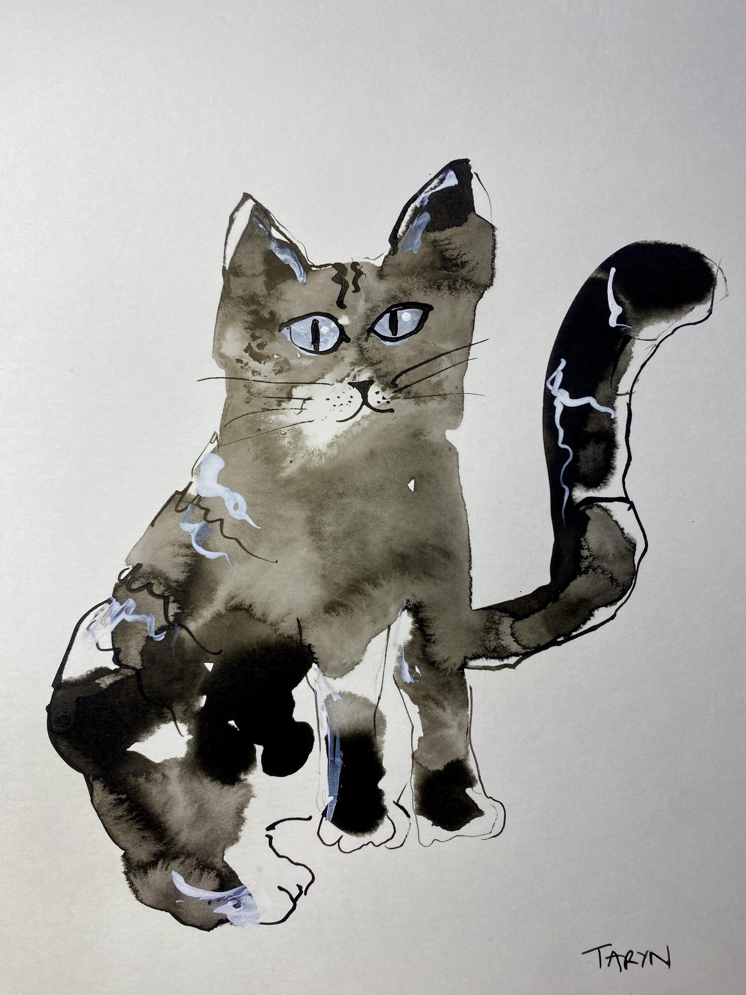 Grumpy cats - image 1 - student project