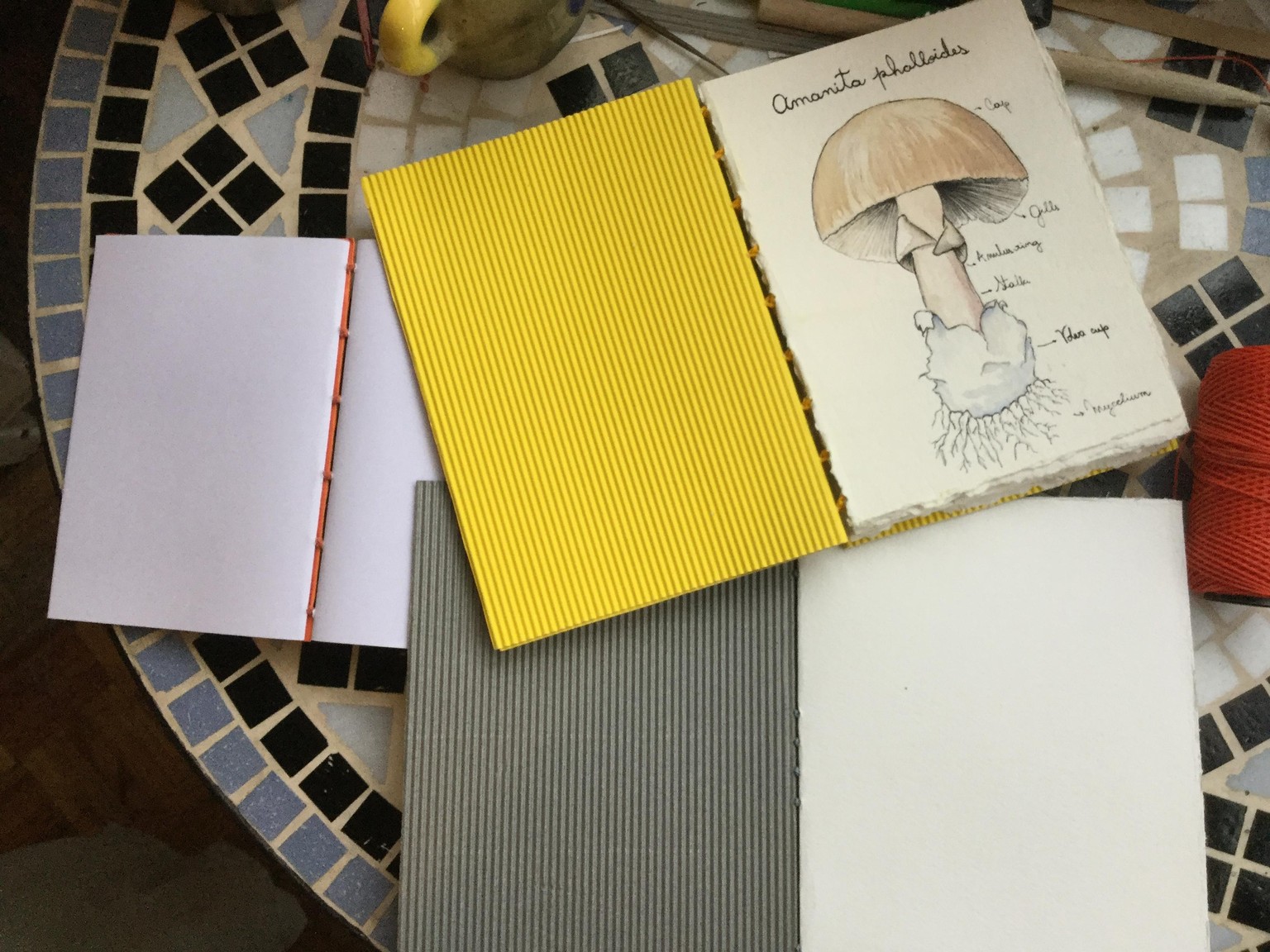 First books - image 1 - student project