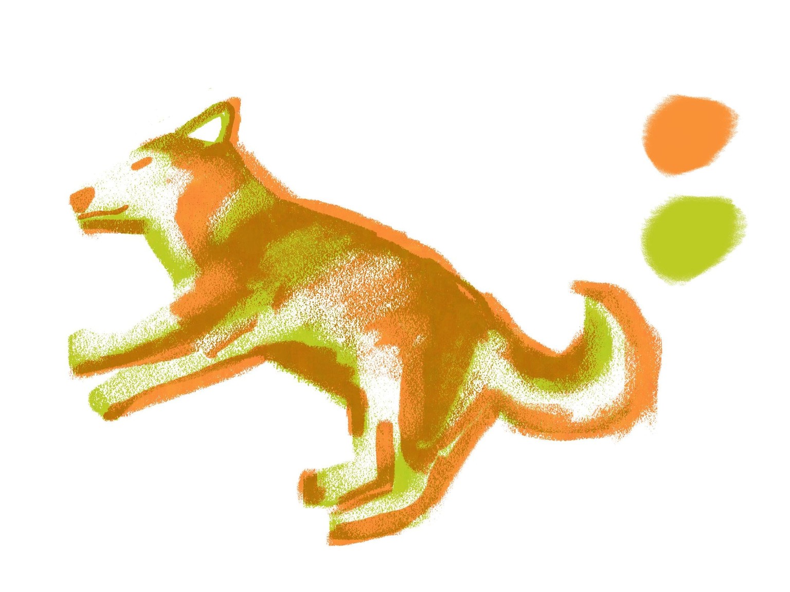 Kettle dog cat - image 2 - student project