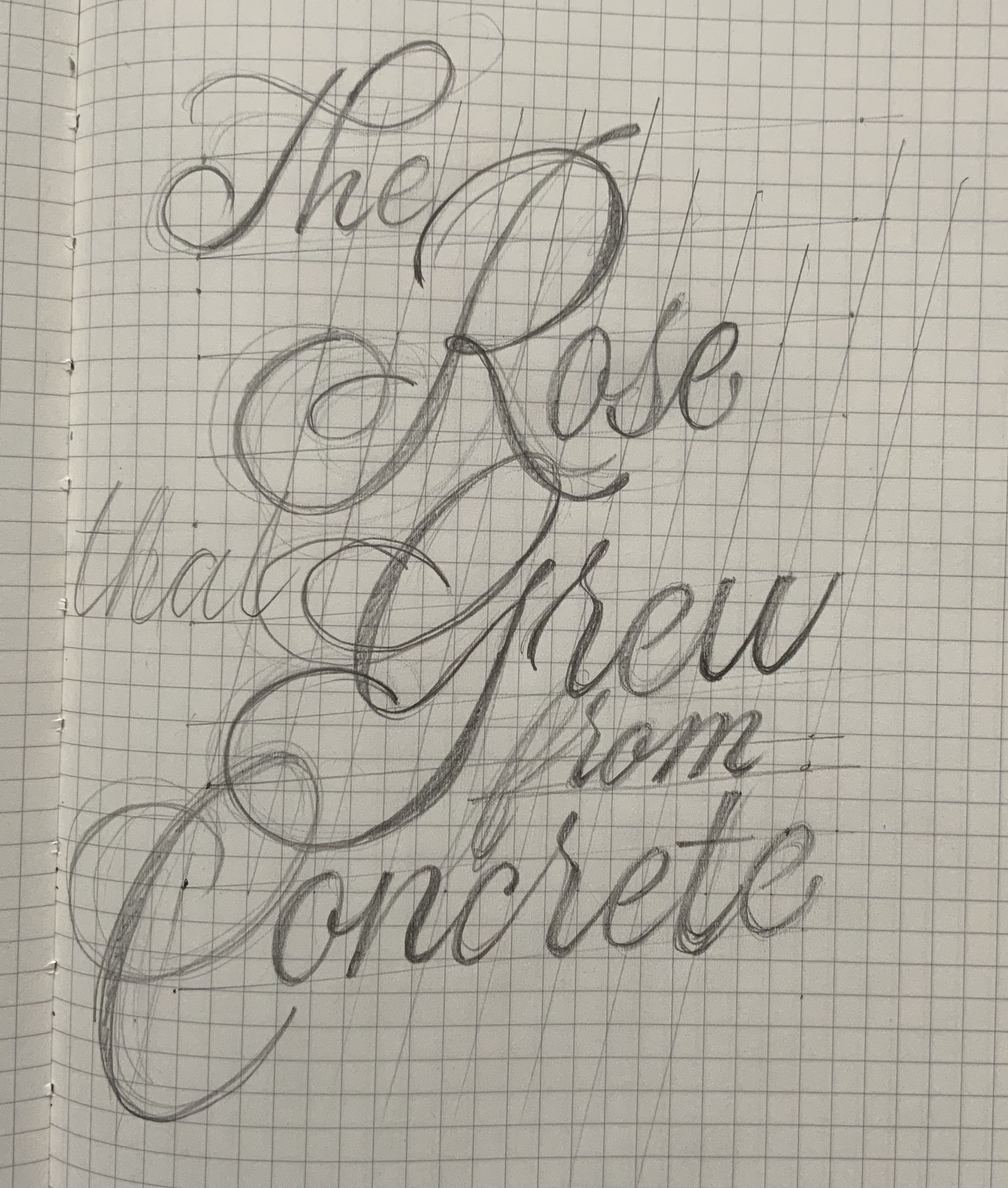 The Rose That Grew From Concrete - image 2 - student project