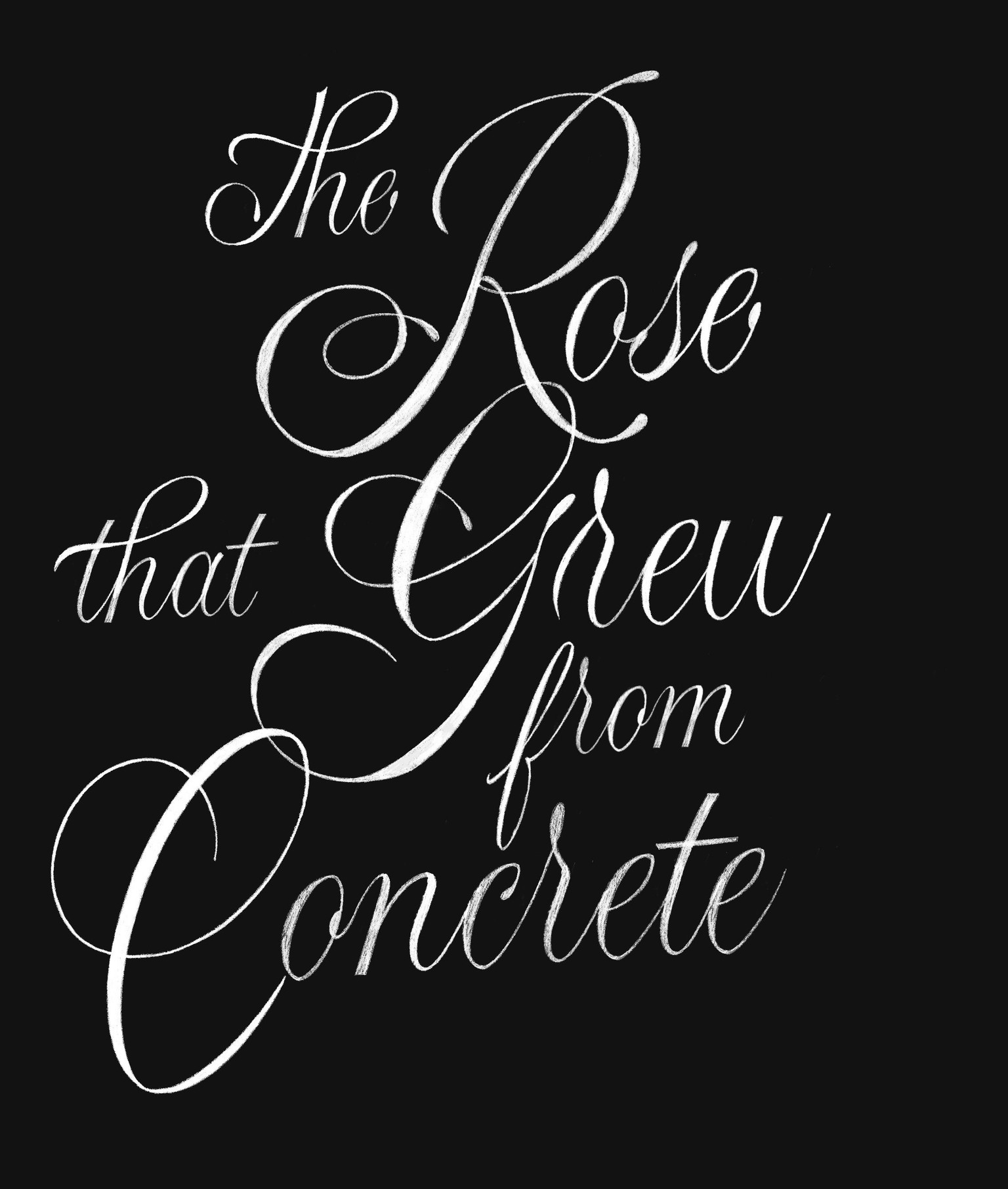 The Rose That Grew From Concrete - image 3 - student project