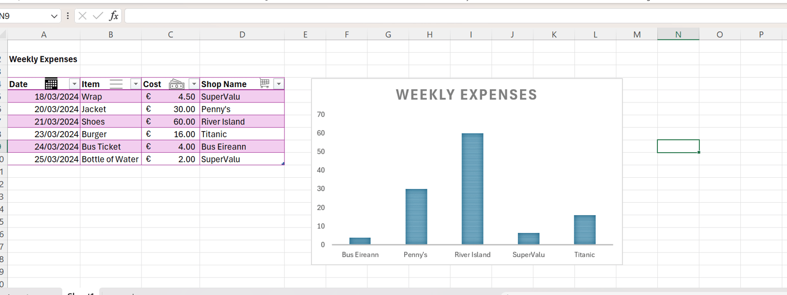Excel for Beginners - image 1 - student project