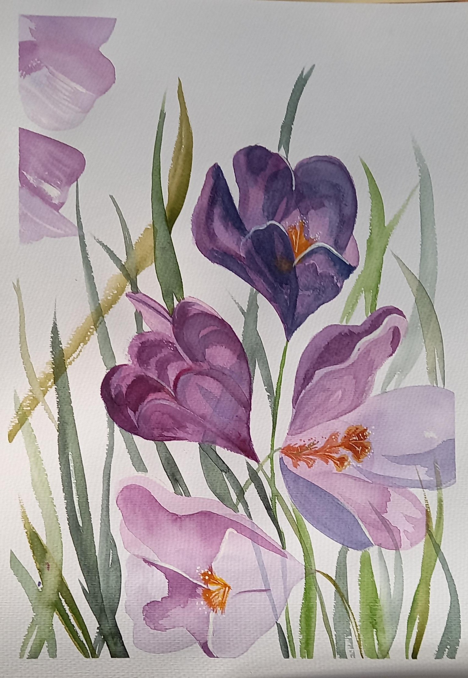 Crocuses by Eleni - image 1 - student project