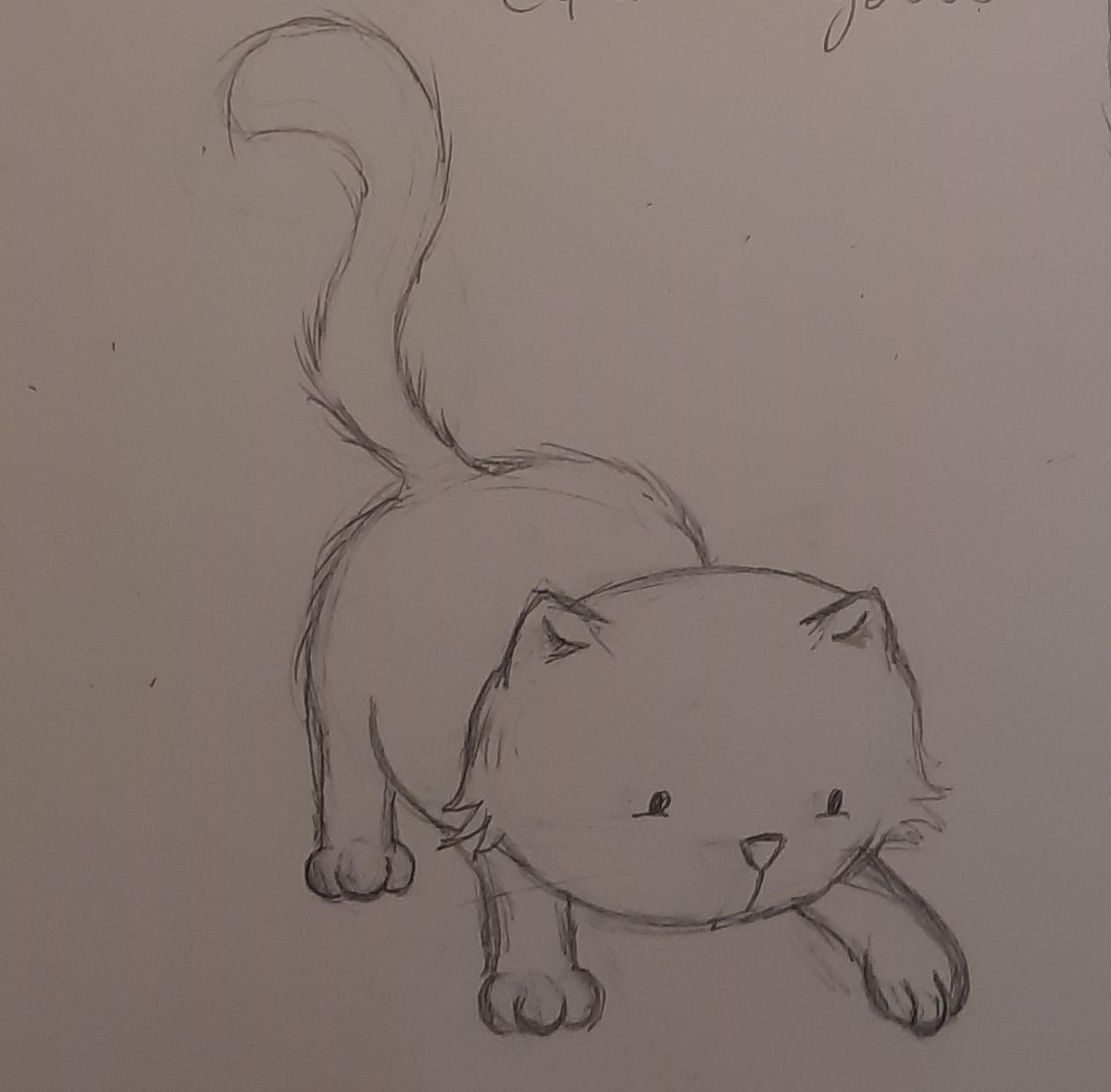 Cute cats practice - image 9 - student project