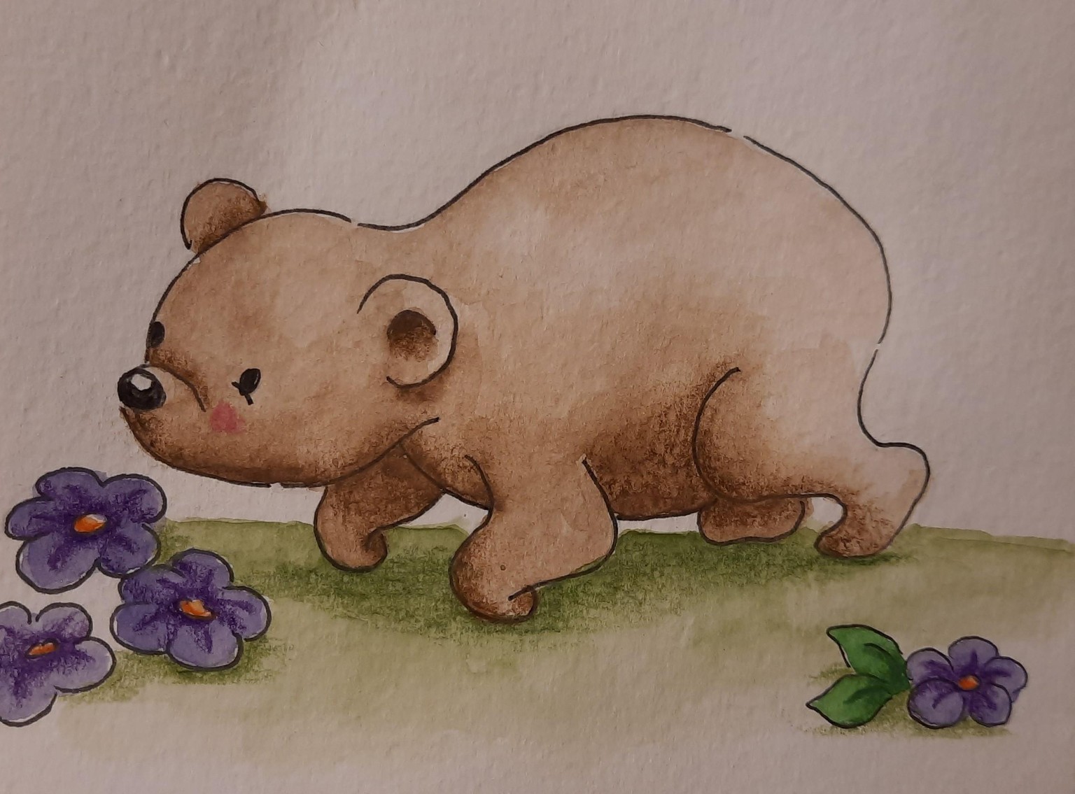 Cute bear explores the world - image 4 - student project