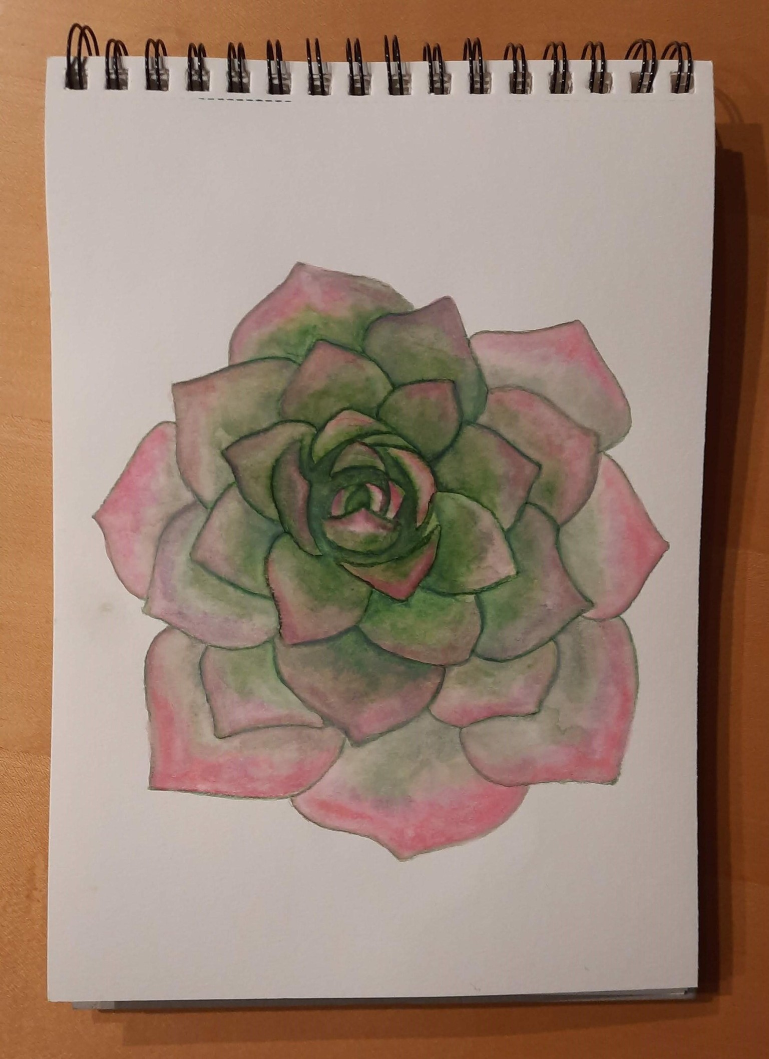 Brushpen botanicals - image 4 - student project
