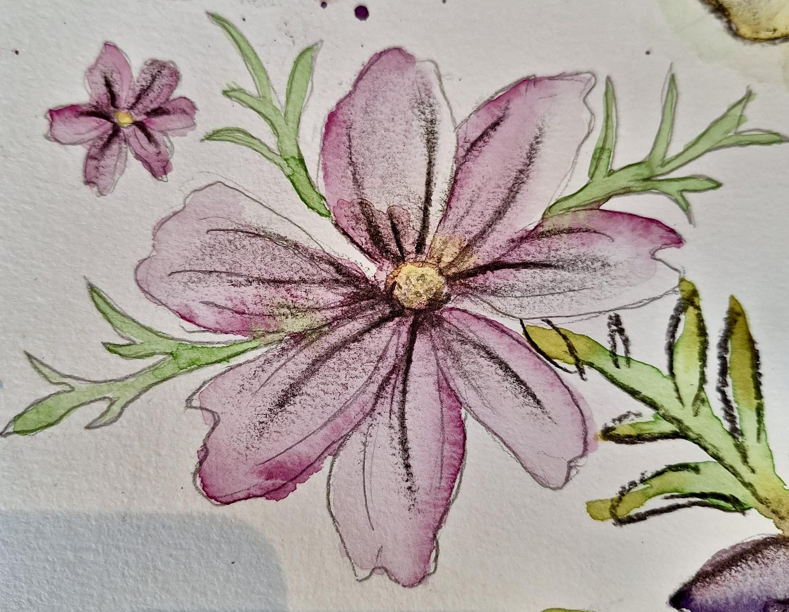 Wonderful class! - image 4 - student project
