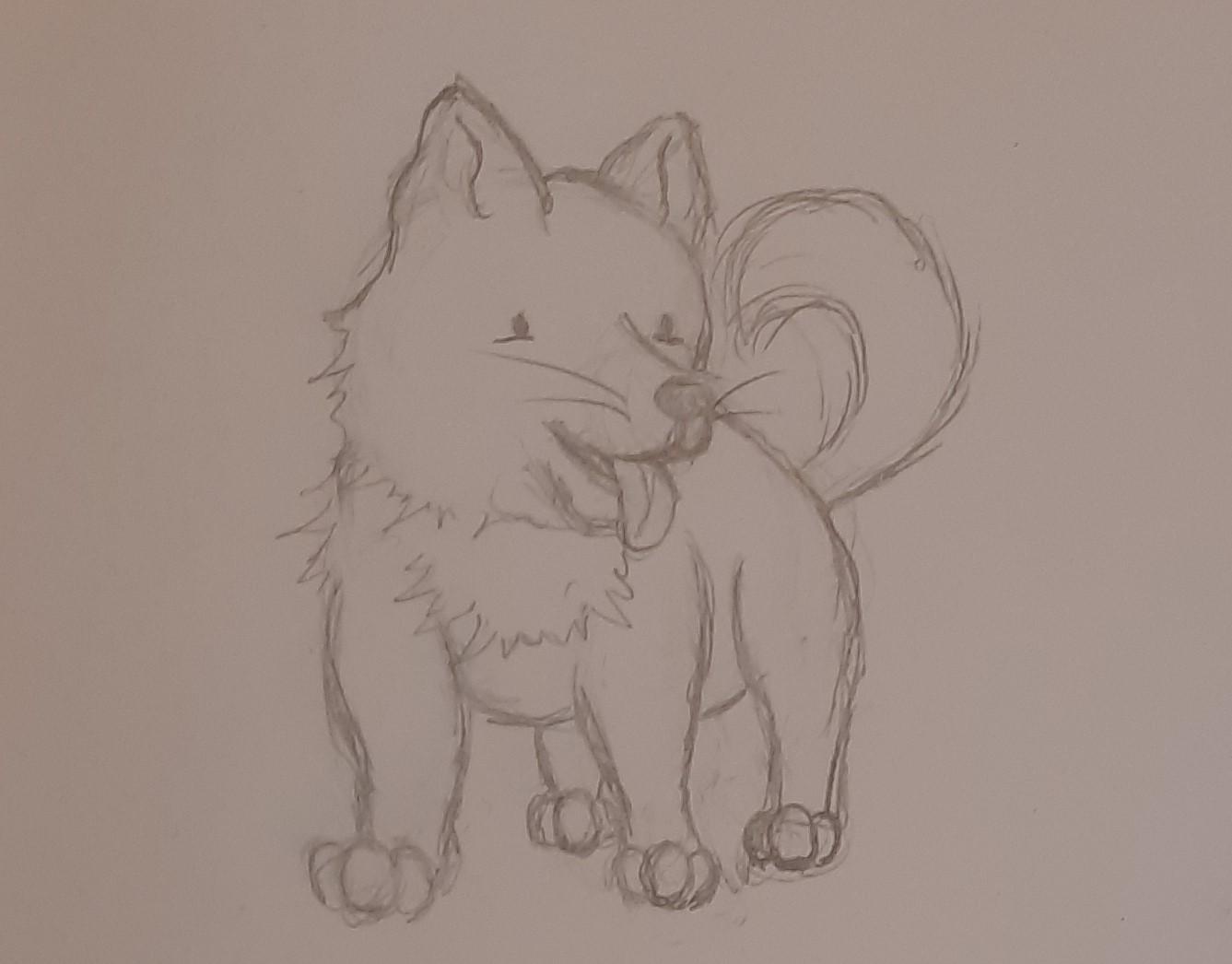 Cute cats practice - image 15 - student project