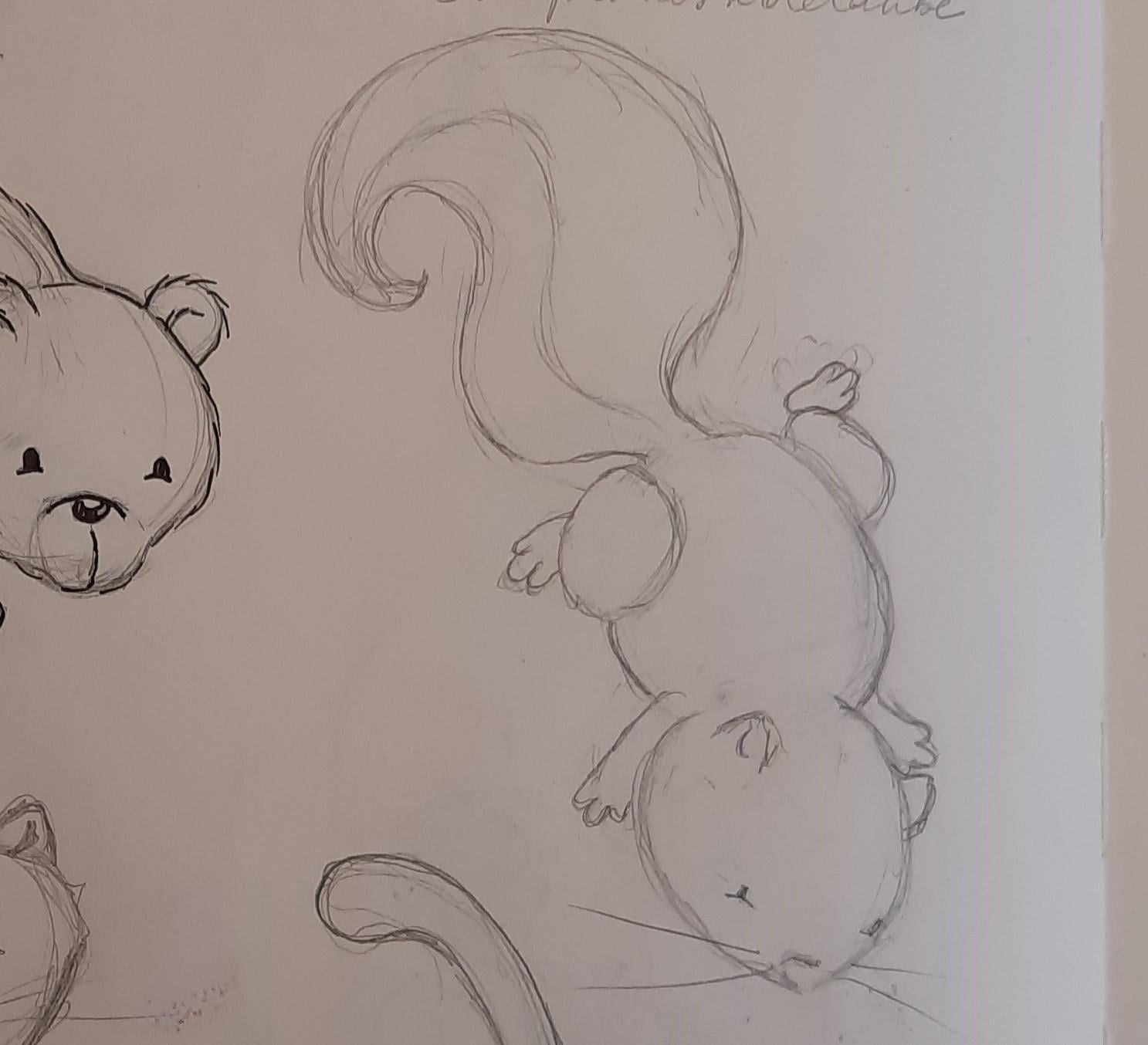 Cute squirrels - image 11 - student project