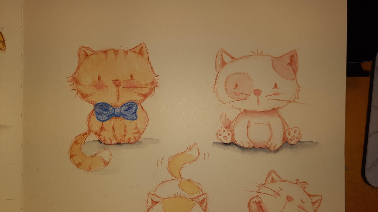 Cute cats practice - image 1 - student project