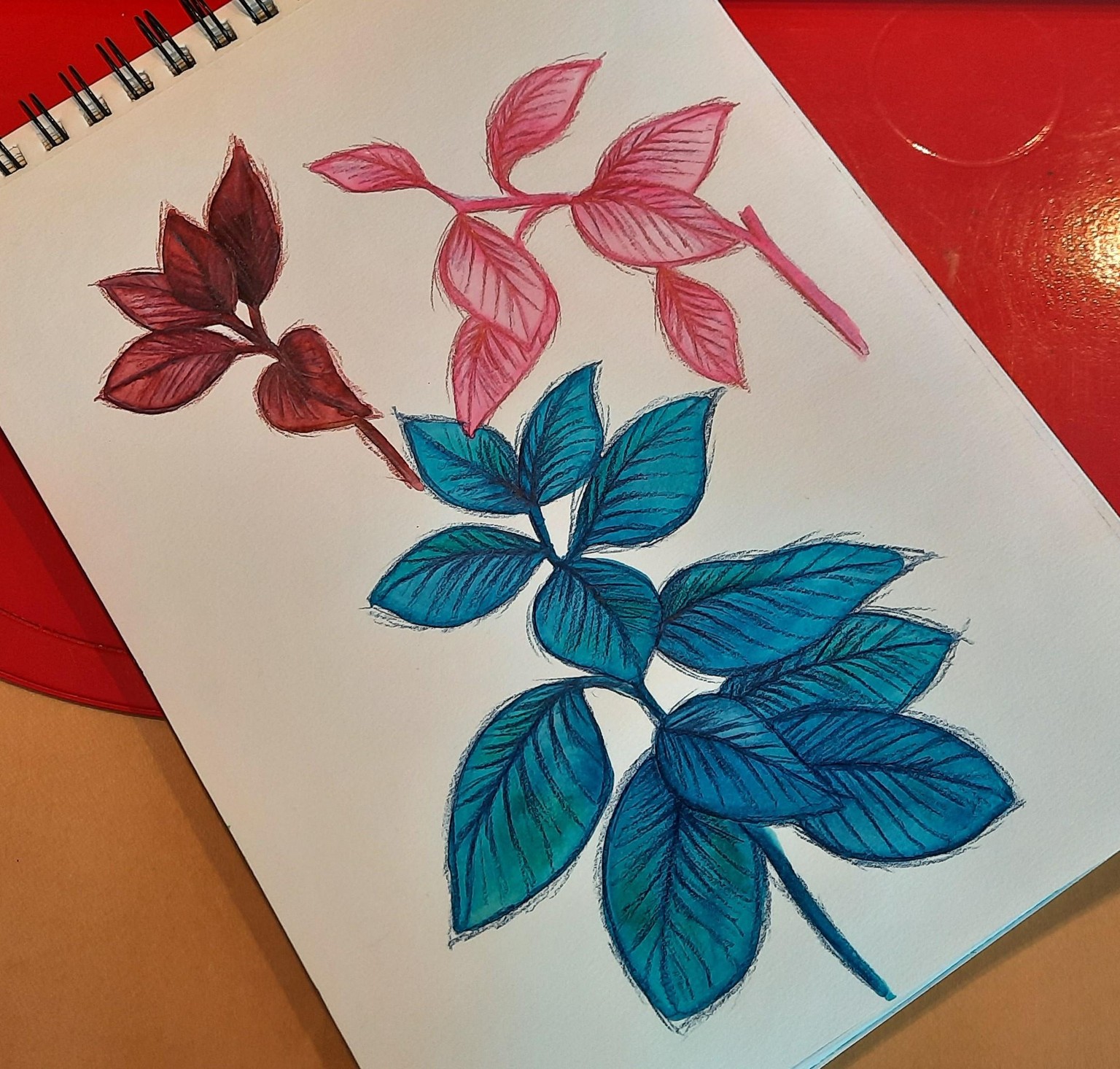 Brushpen botanicals - image 8 - student project