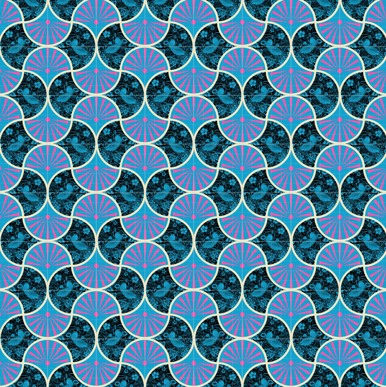 Scallops - image 5 - student project