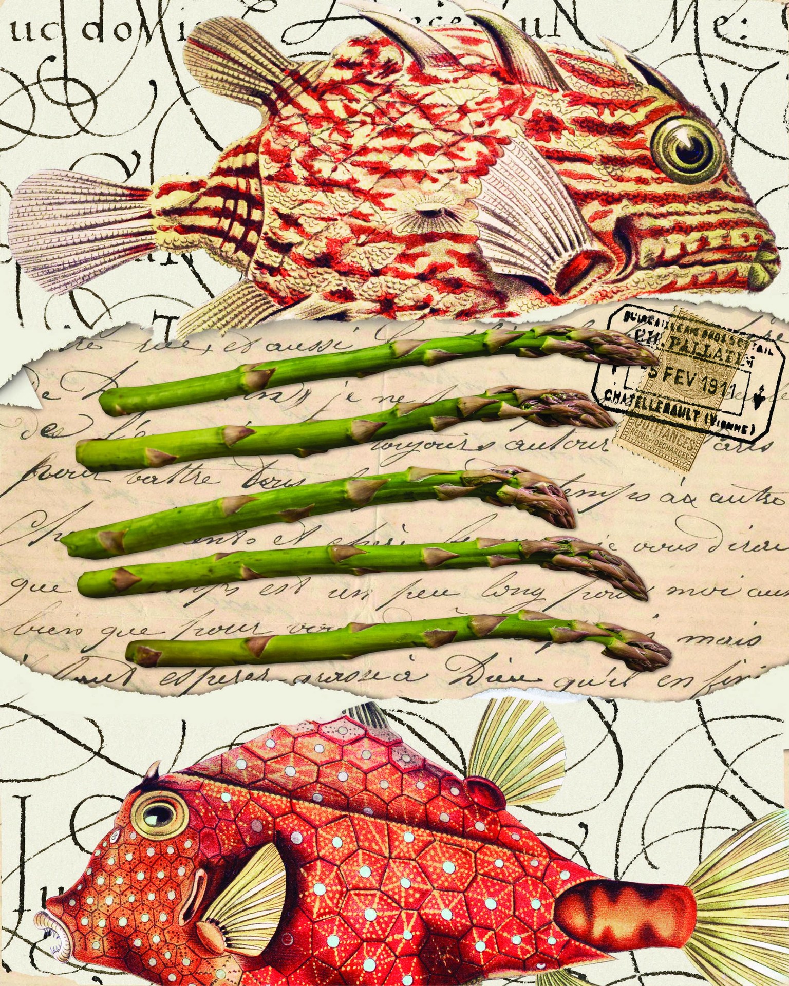 Fish and asparagus - image 1 - student project