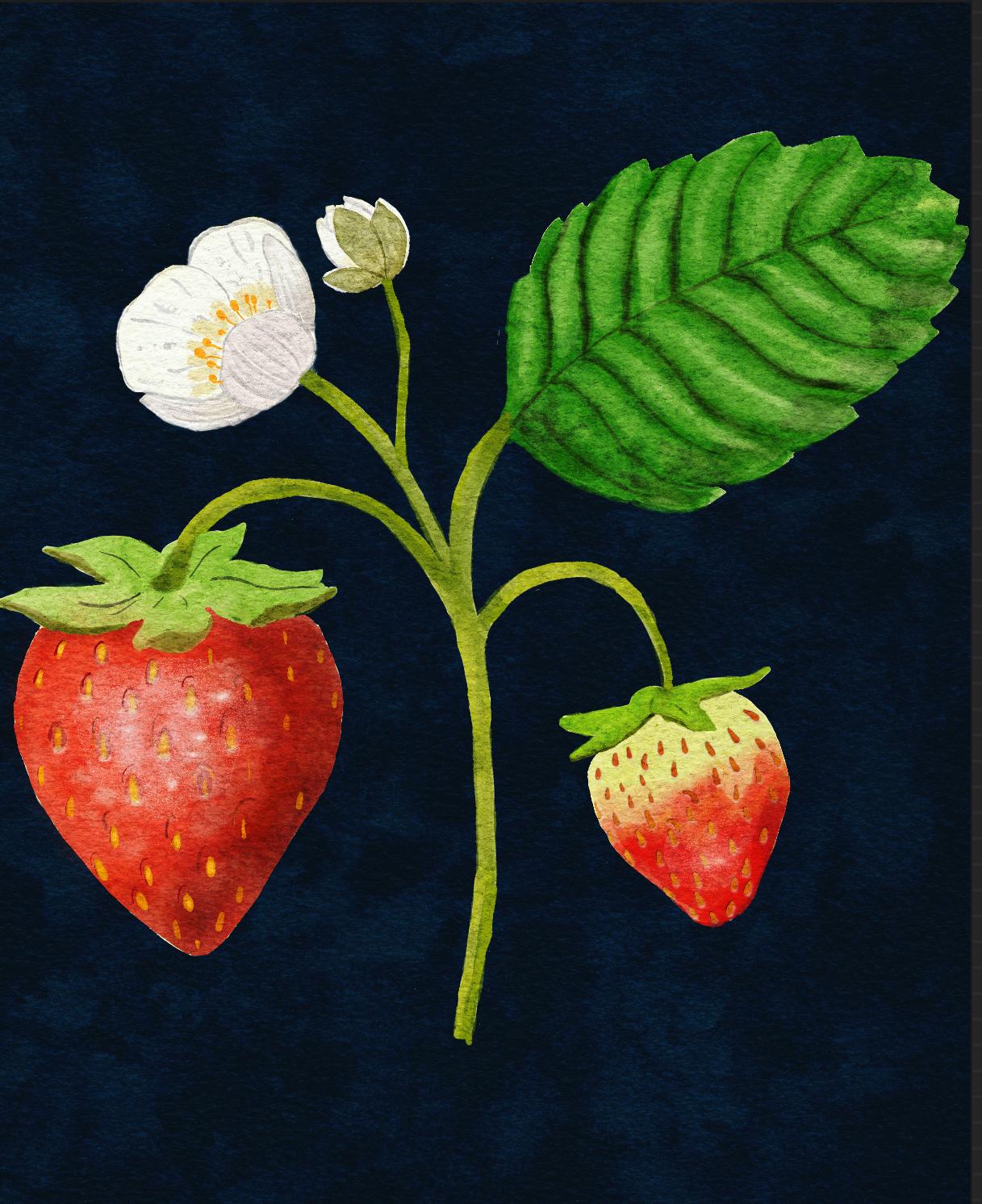 Ripe and unripe - image 1 - student project