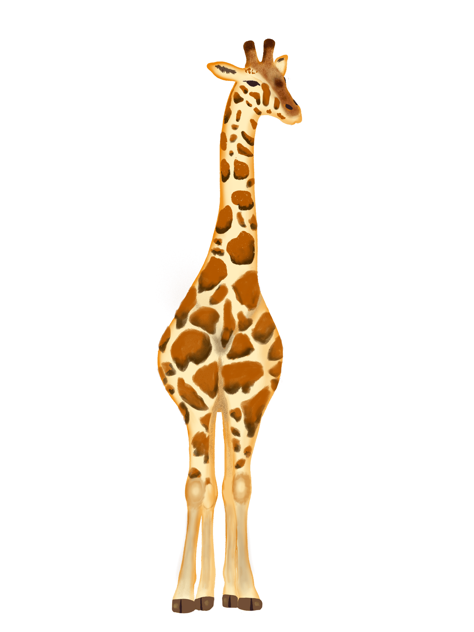 Great Giraffes - image 1 - student project