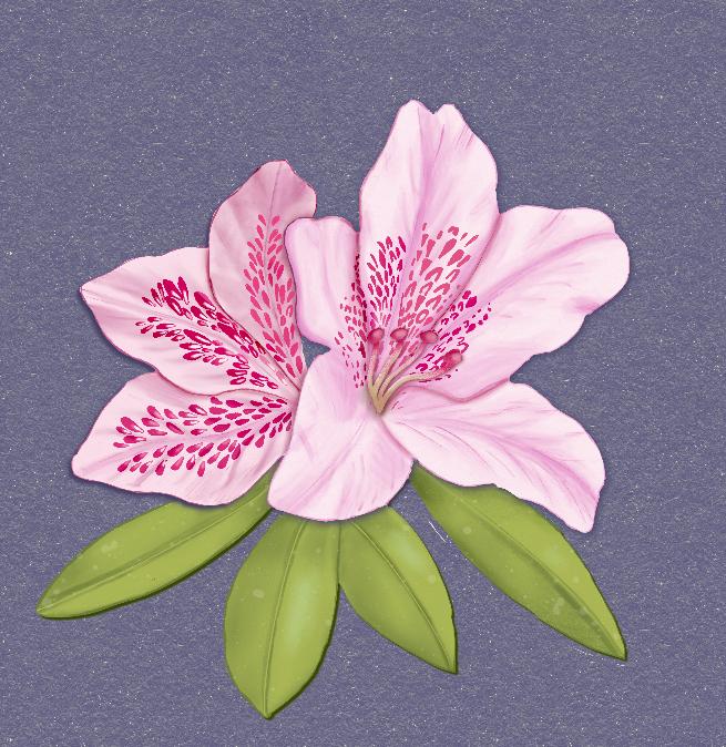 Passion Flower - image 2 - student project