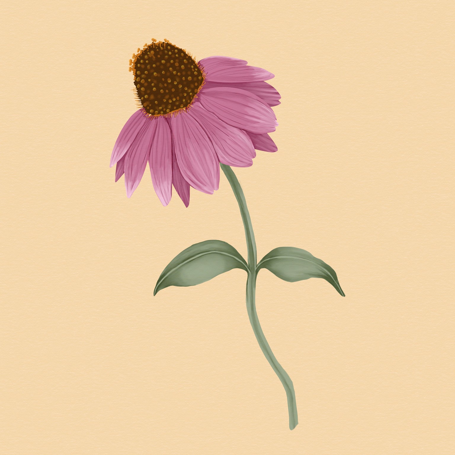 Passion Flower - image 3 - student project