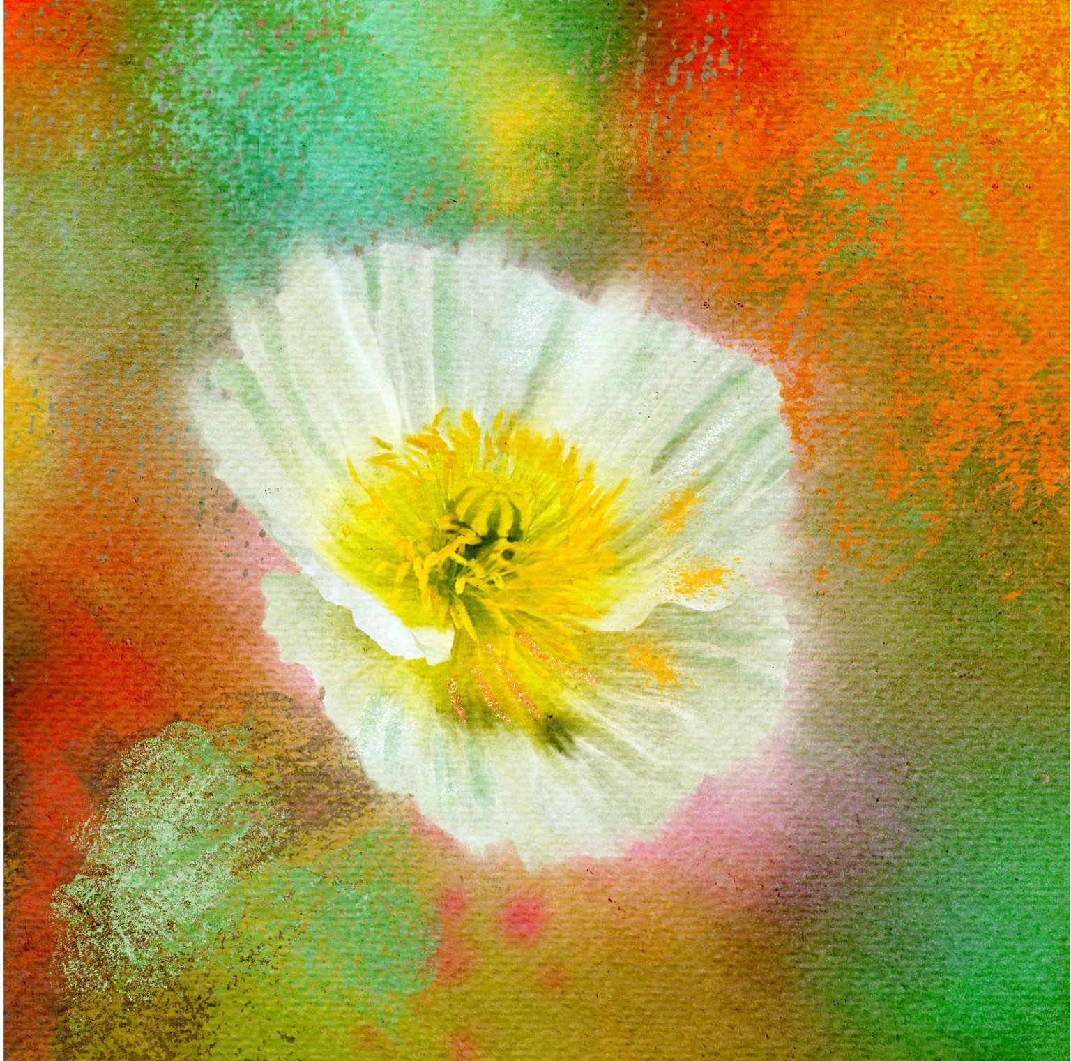 Drawing Flower photos - image 3 - student project