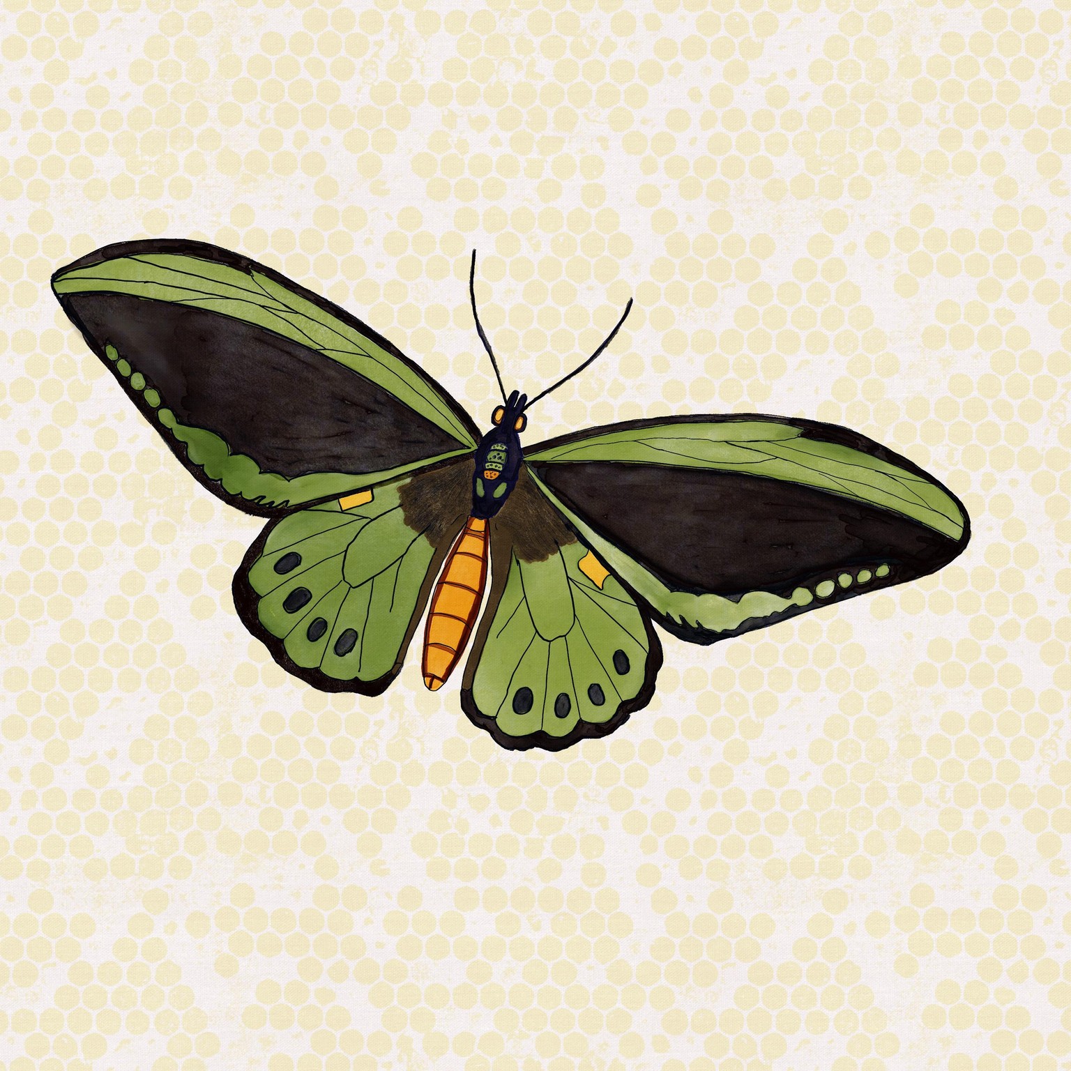 Wings - image 2 - student project