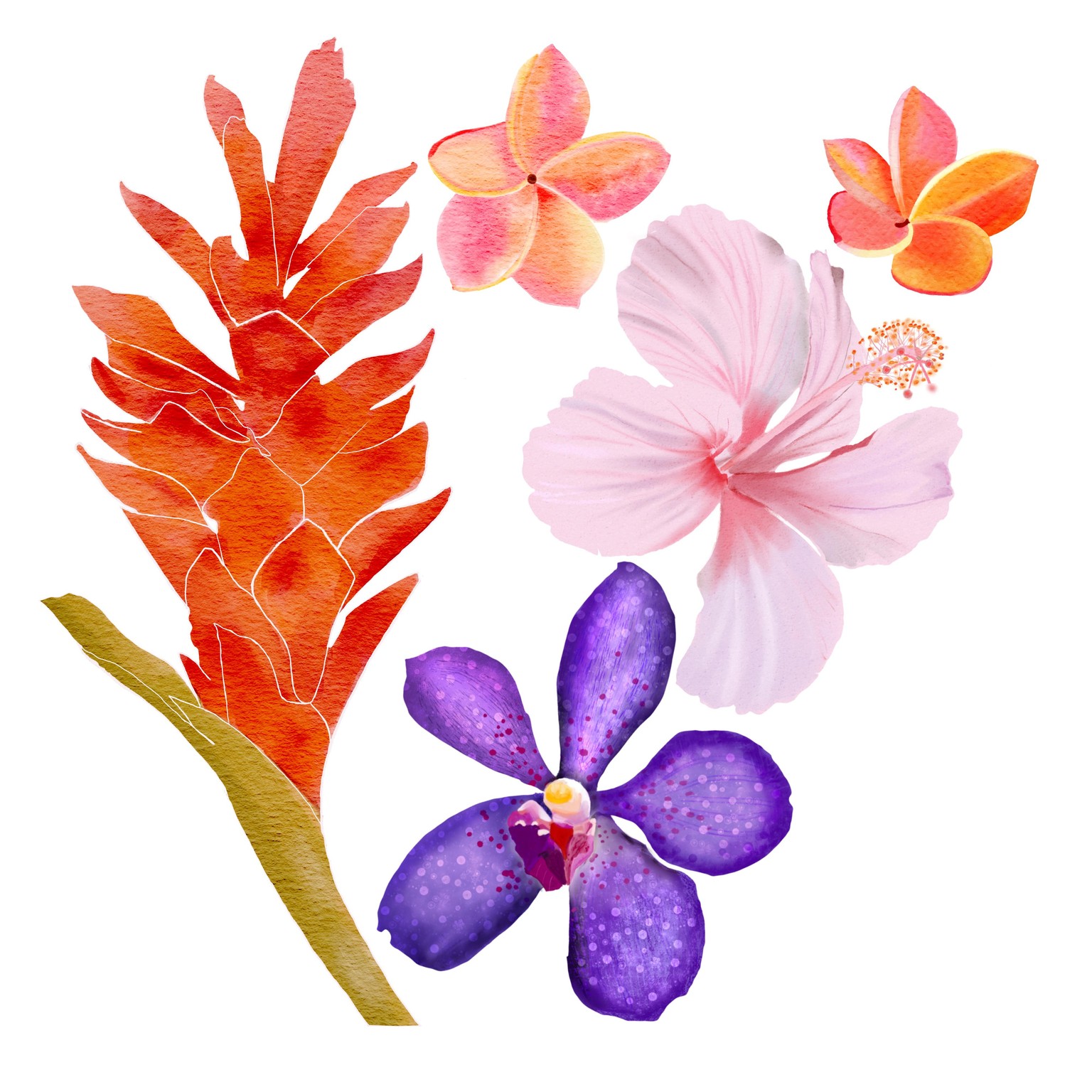 Tropical flowers pattern - image 2 - student project