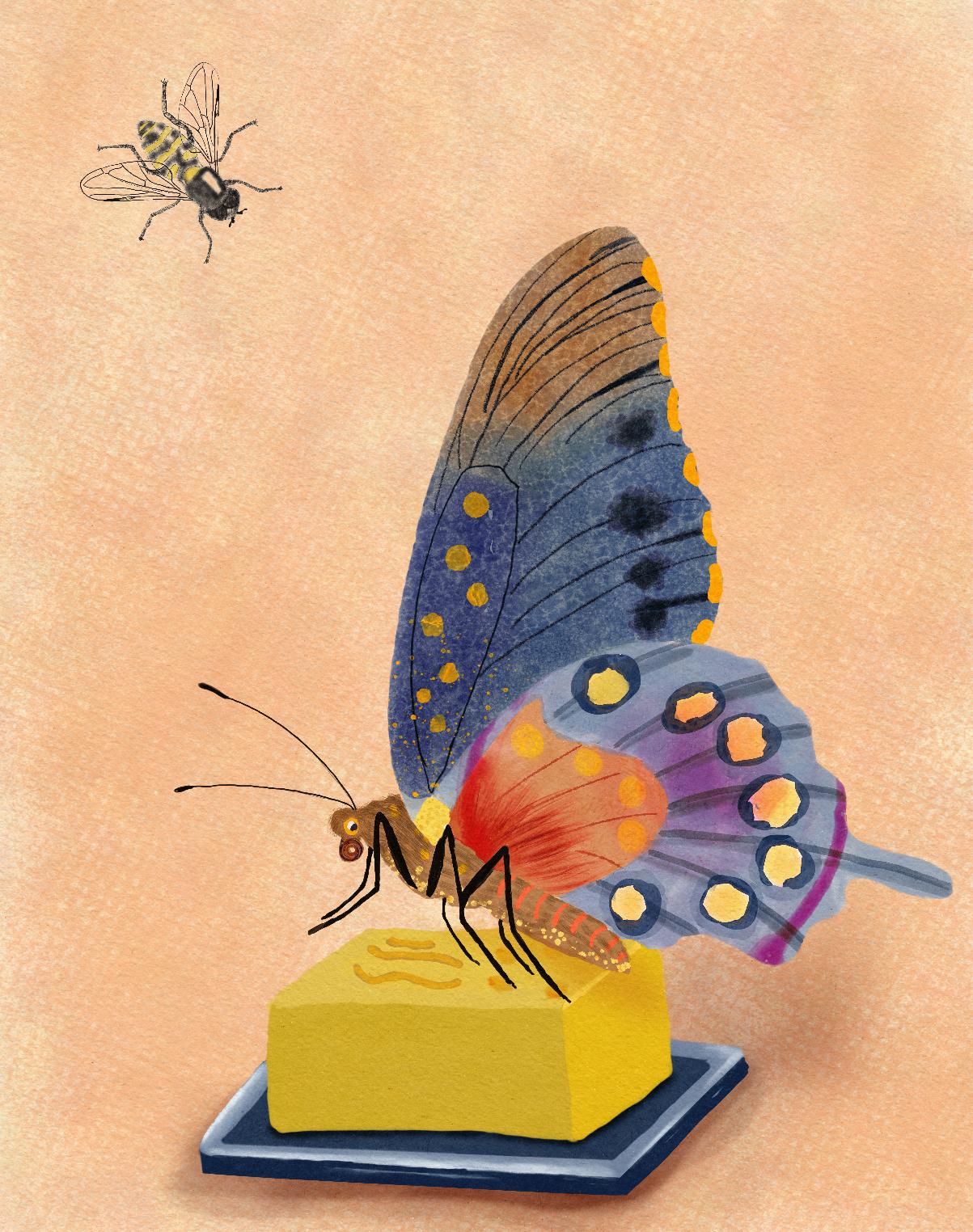 Wings - image 1 - student project