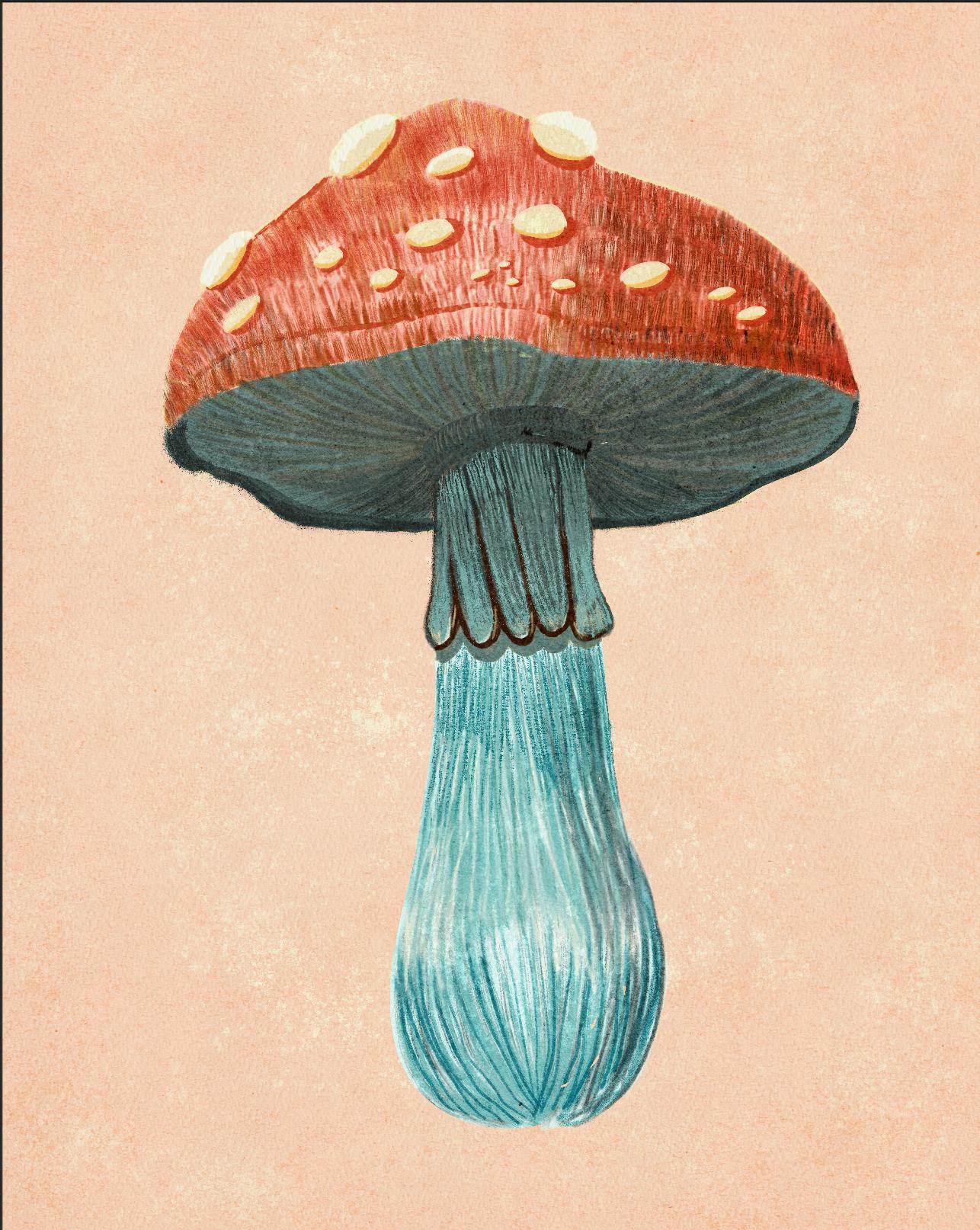 Mushroom styles - image 3 - student project