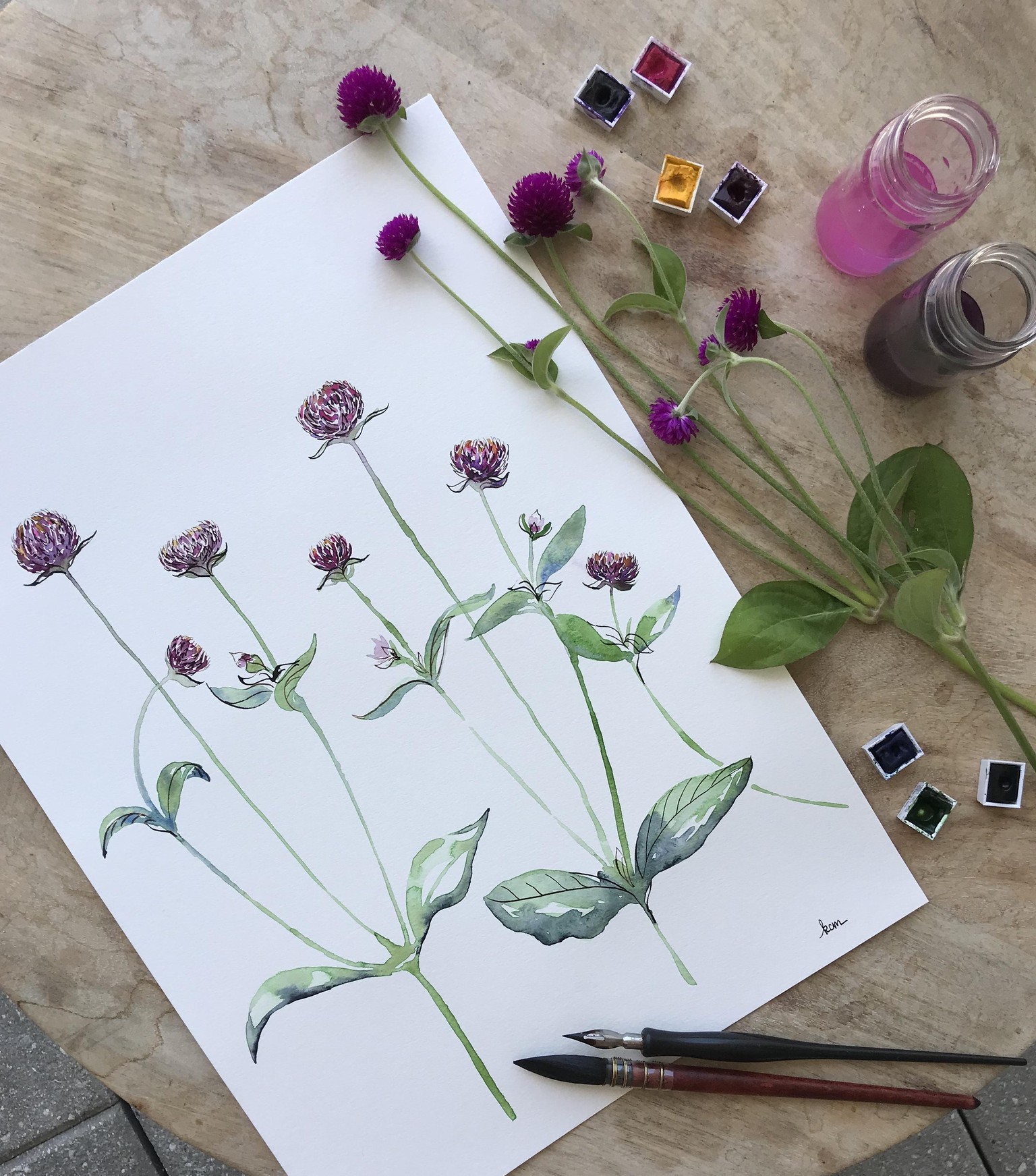 Black-eyed Susan, Butterfly Bush & Gomphrena Projects! - image 1 - student project