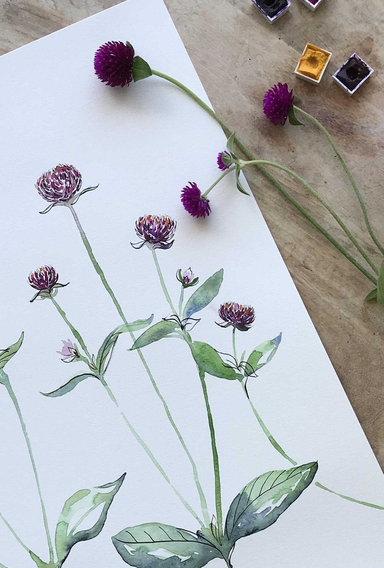 Black-eyed Susan, Butterfly Bush & Gomphrena Projects! - image 2 - student project
