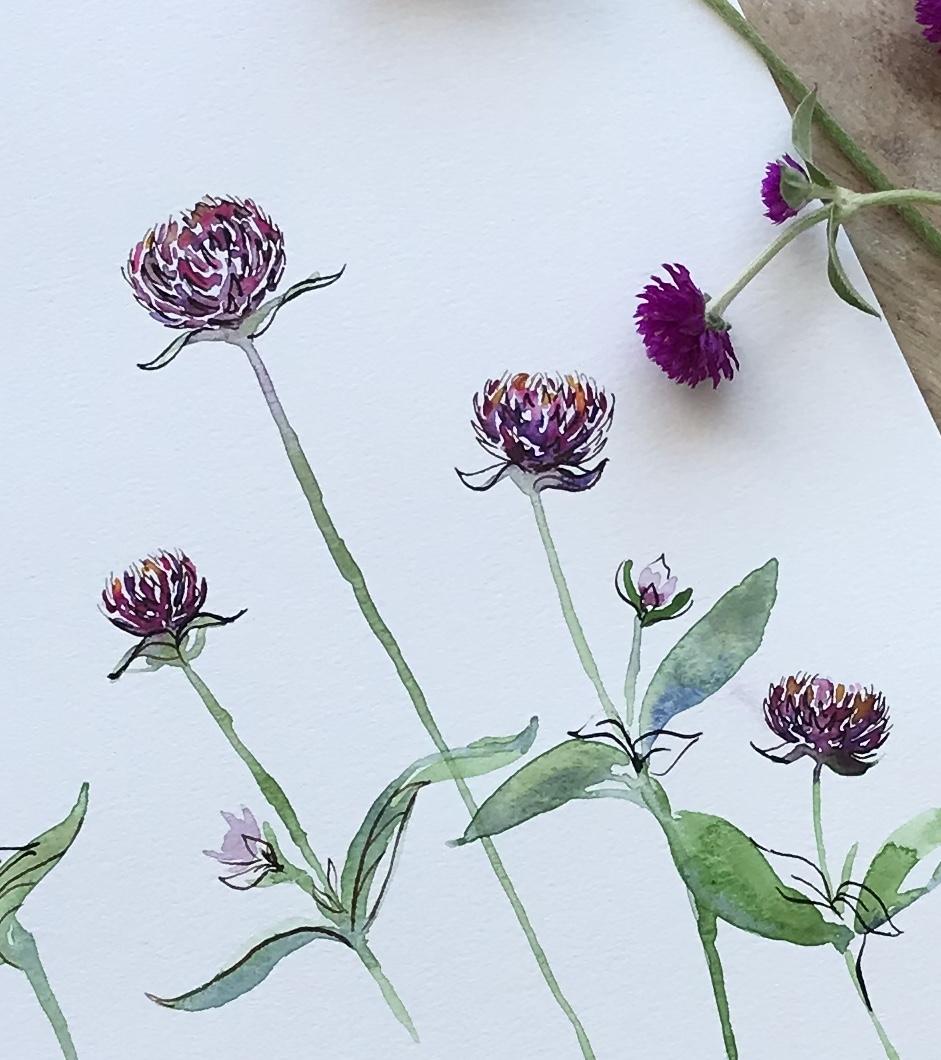 Black-eyed Susan, Butterfly Bush & Gomphrena Projects! - image 3 - student project
