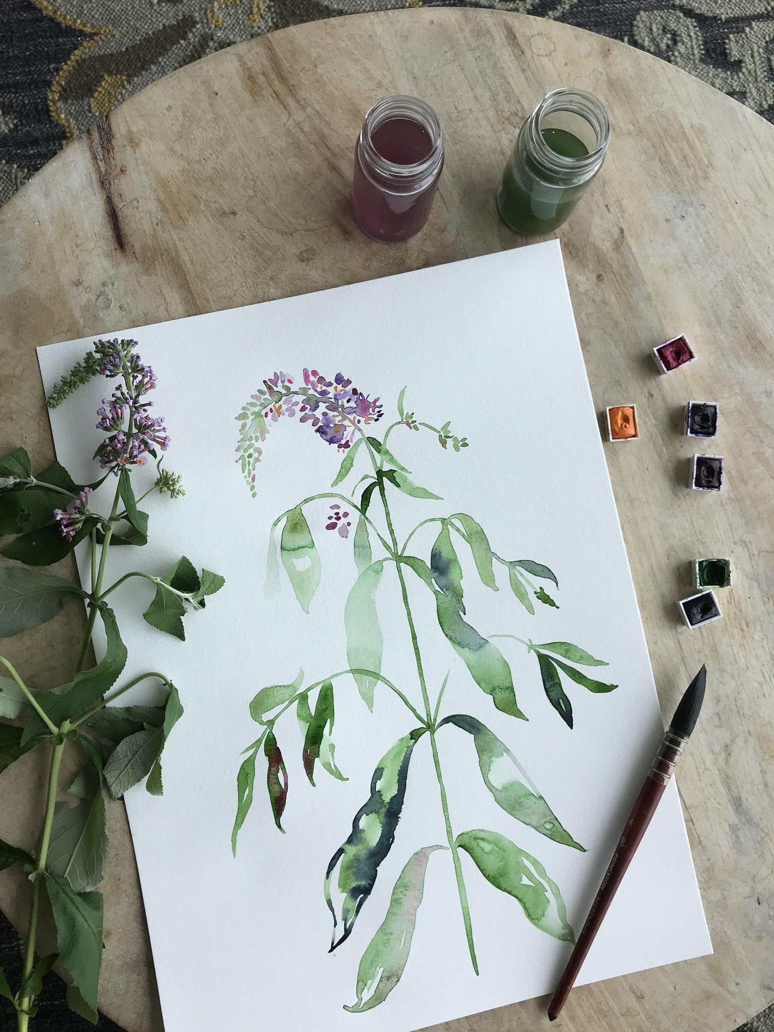 Black-eyed Susan, Butterfly Bush & Gomphrena Projects! - image 4 - student project