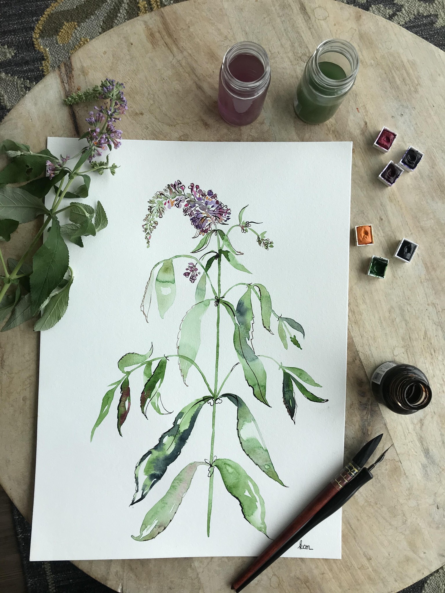 Black-eyed Susan, Butterfly Bush & Gomphrena Projects! - image 5 - student project