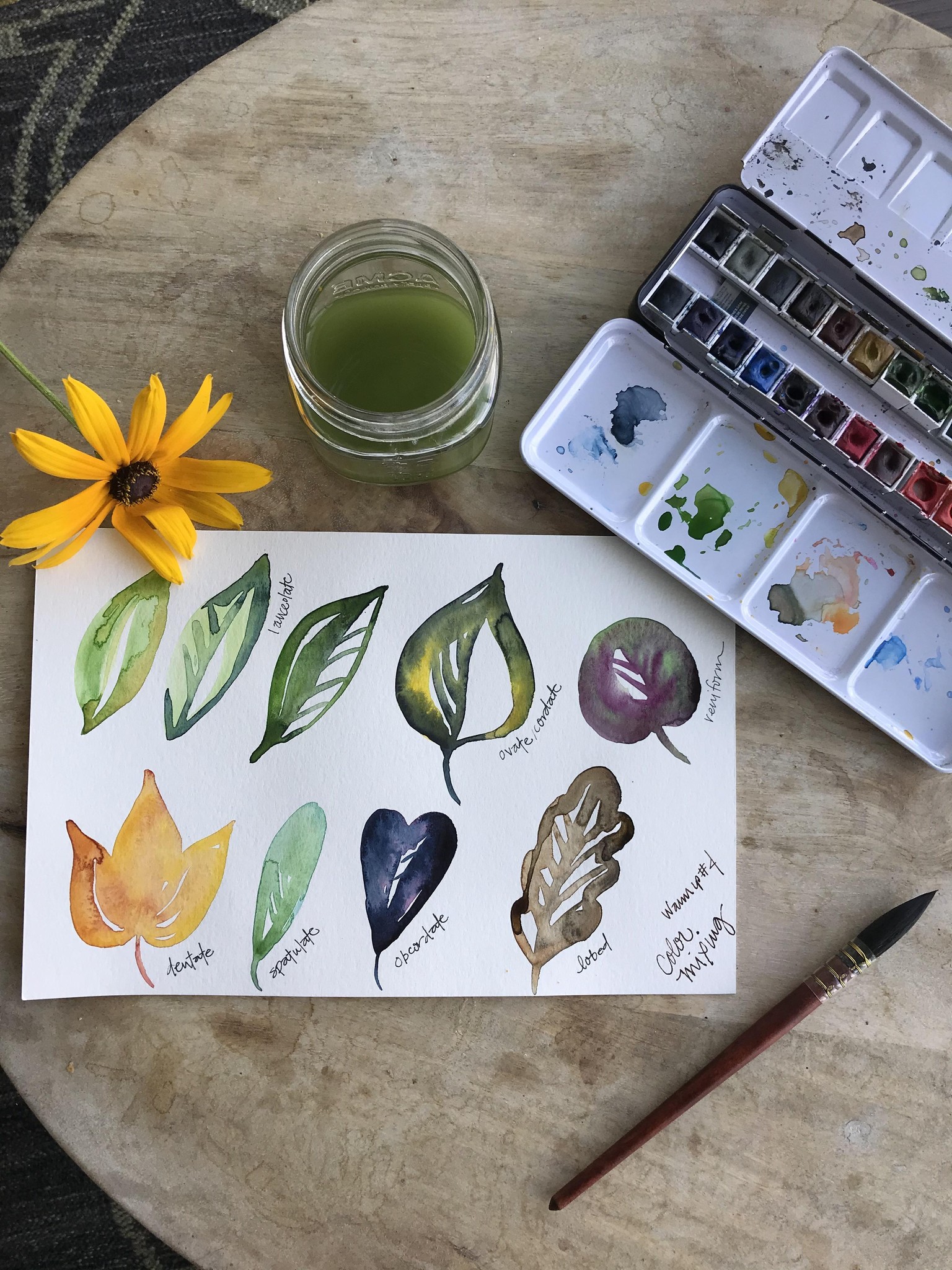 Black-eyed Susan, Butterfly Bush & Gomphrena Projects! - image 9 - student project