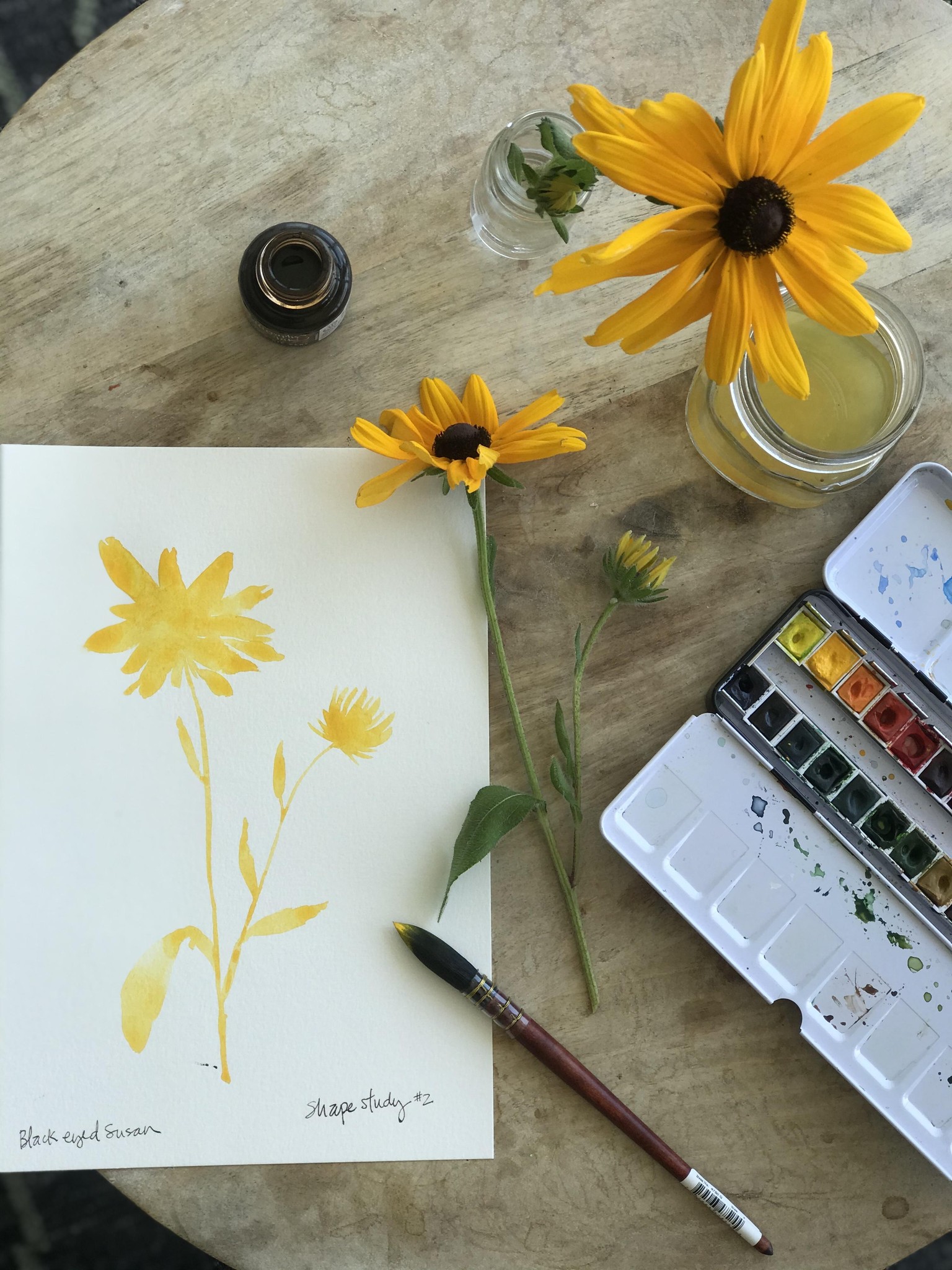 Black-eyed Susan, Butterfly Bush & Gomphrena Projects! - image 6 - student project
