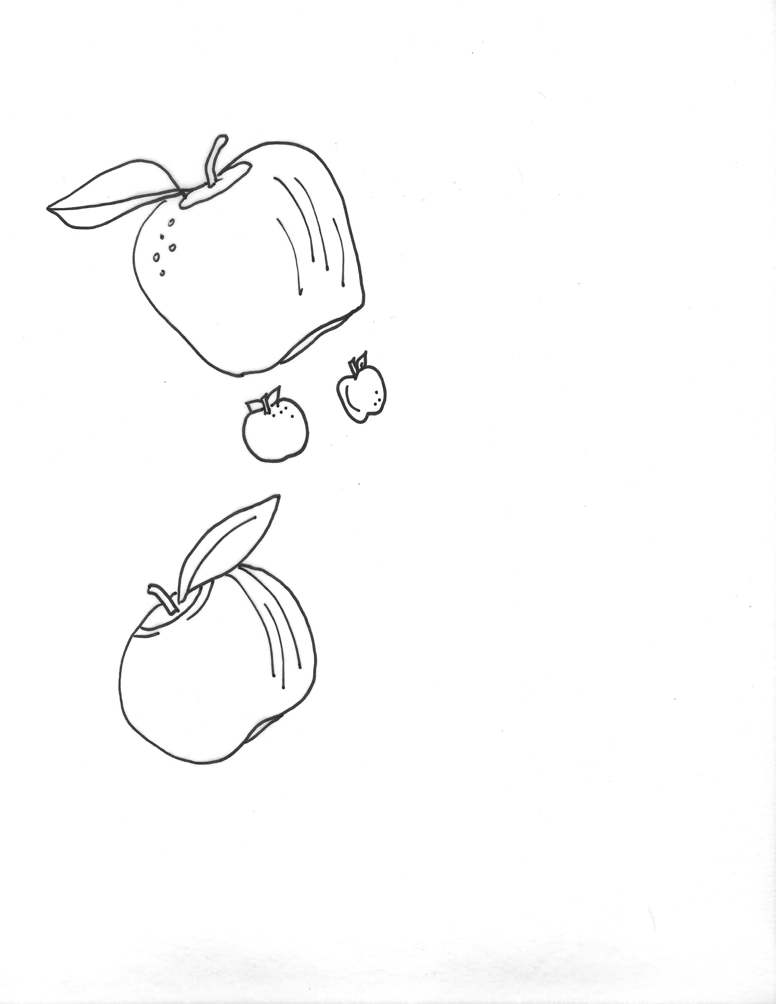 Apples in Denim by Sweetfire Road - image 4 - student project