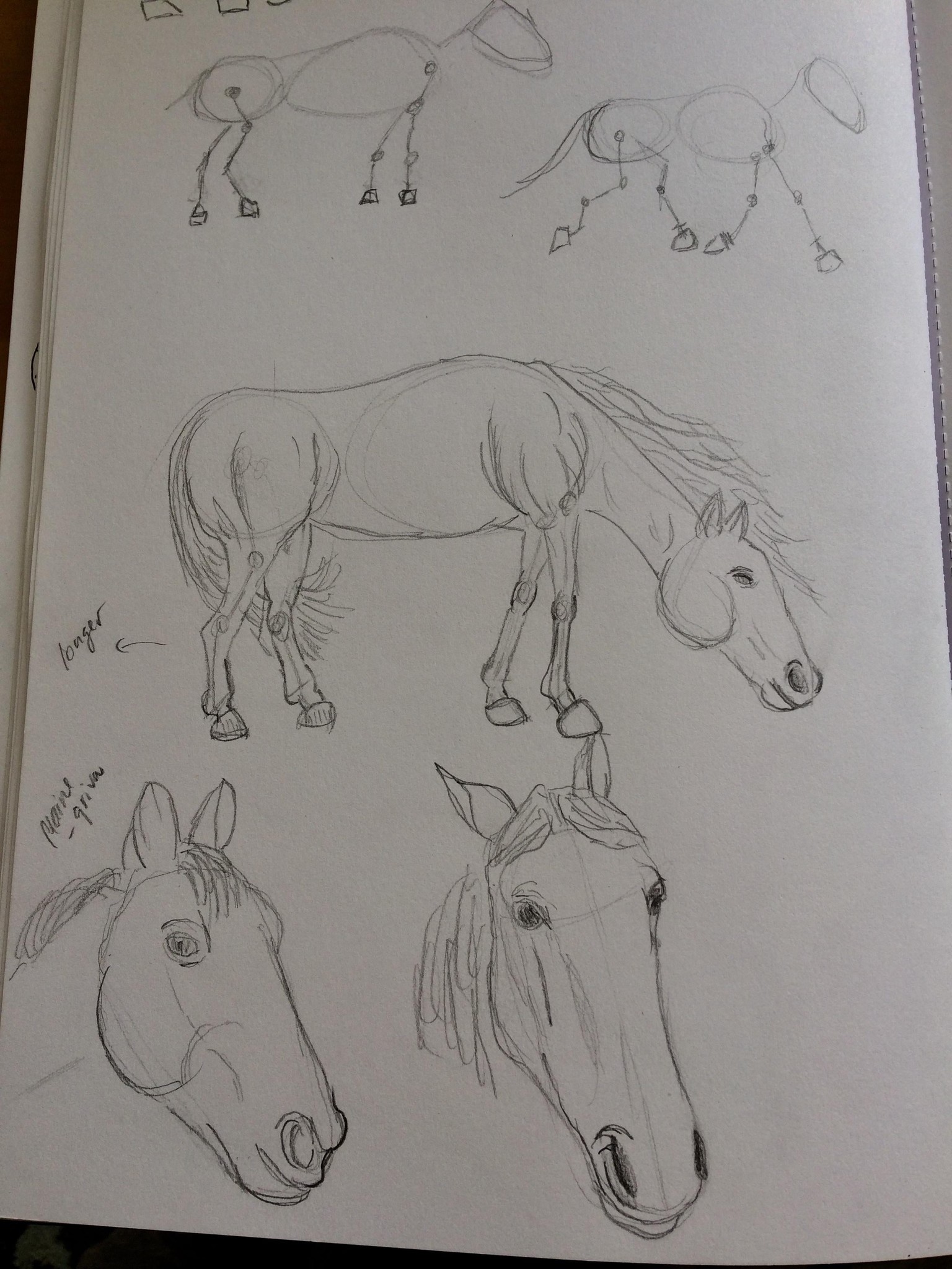 Animals - image 6 - student project